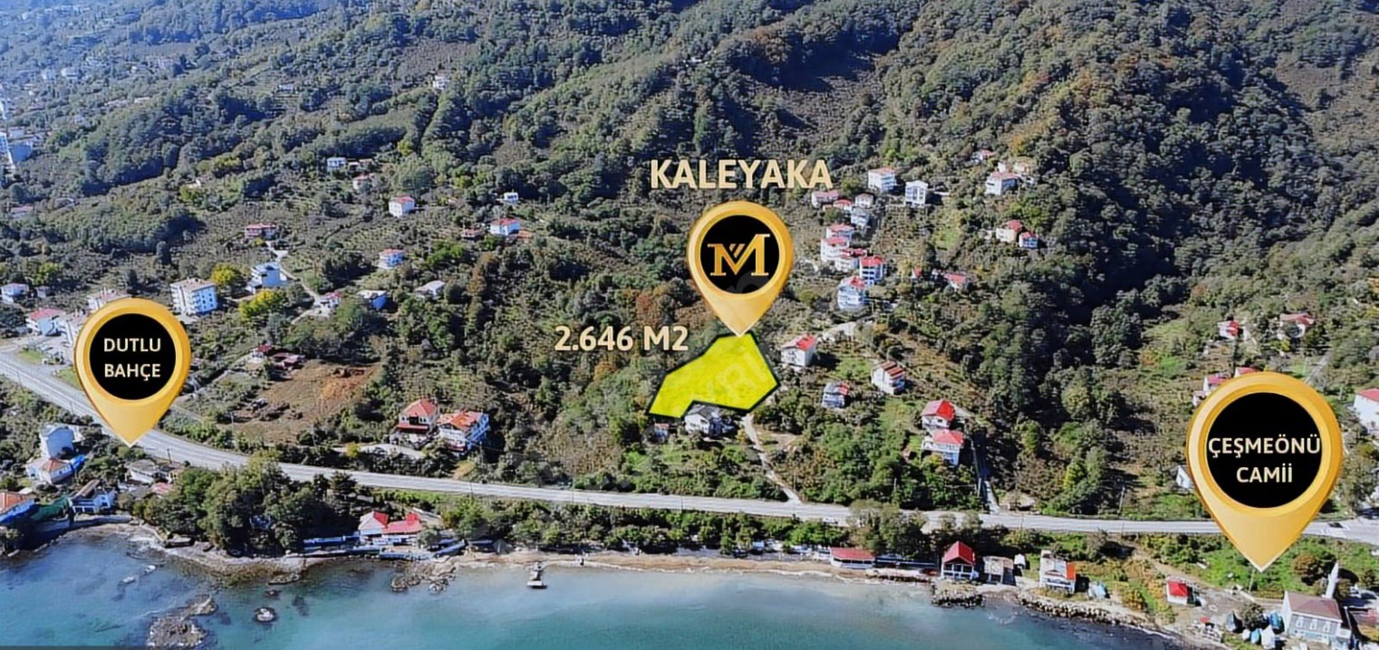KALEYAKA