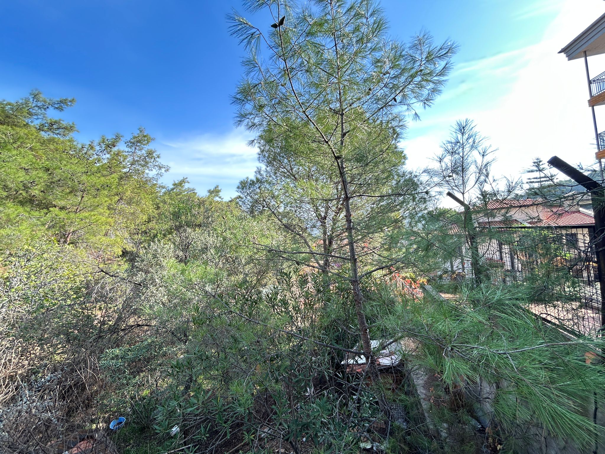 MARMARİS ARMUATALAN'DA DENİZ MANZARALI 431M2 SATILIK ARSA