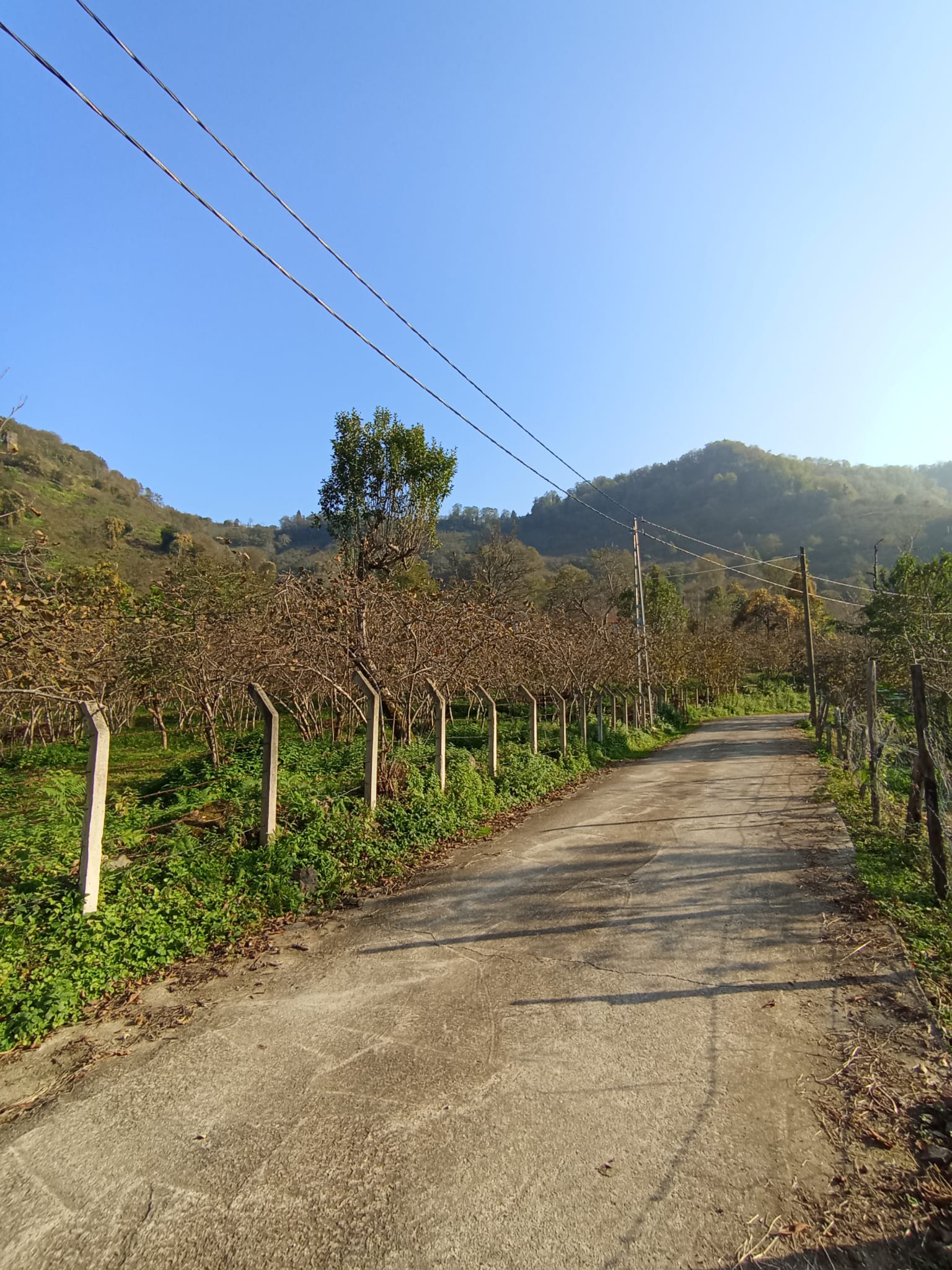 BEYAZIT KÖYÜ SATILIK ARSA