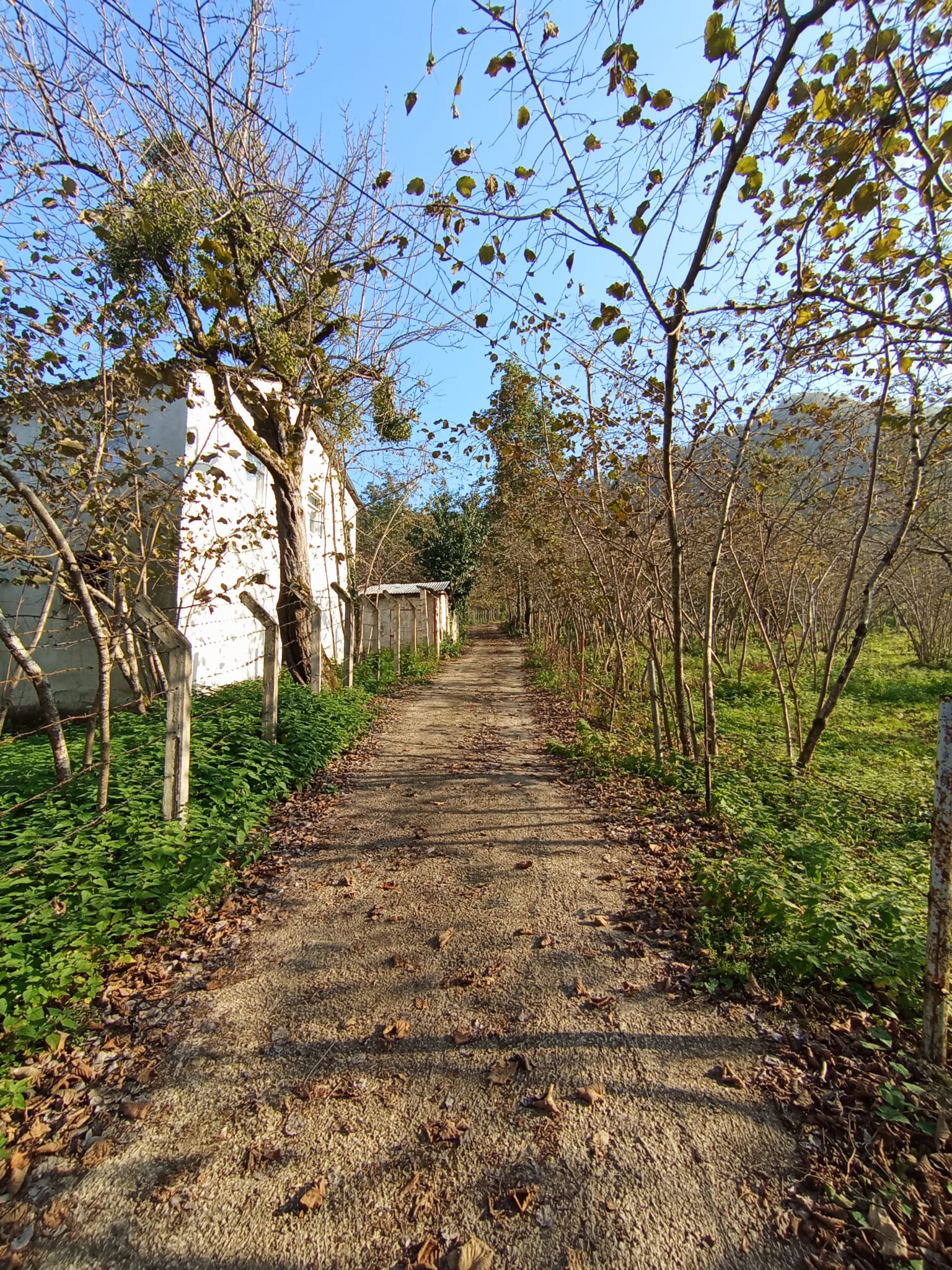 BEYAZIT KÖYÜ SATILIK ARSA