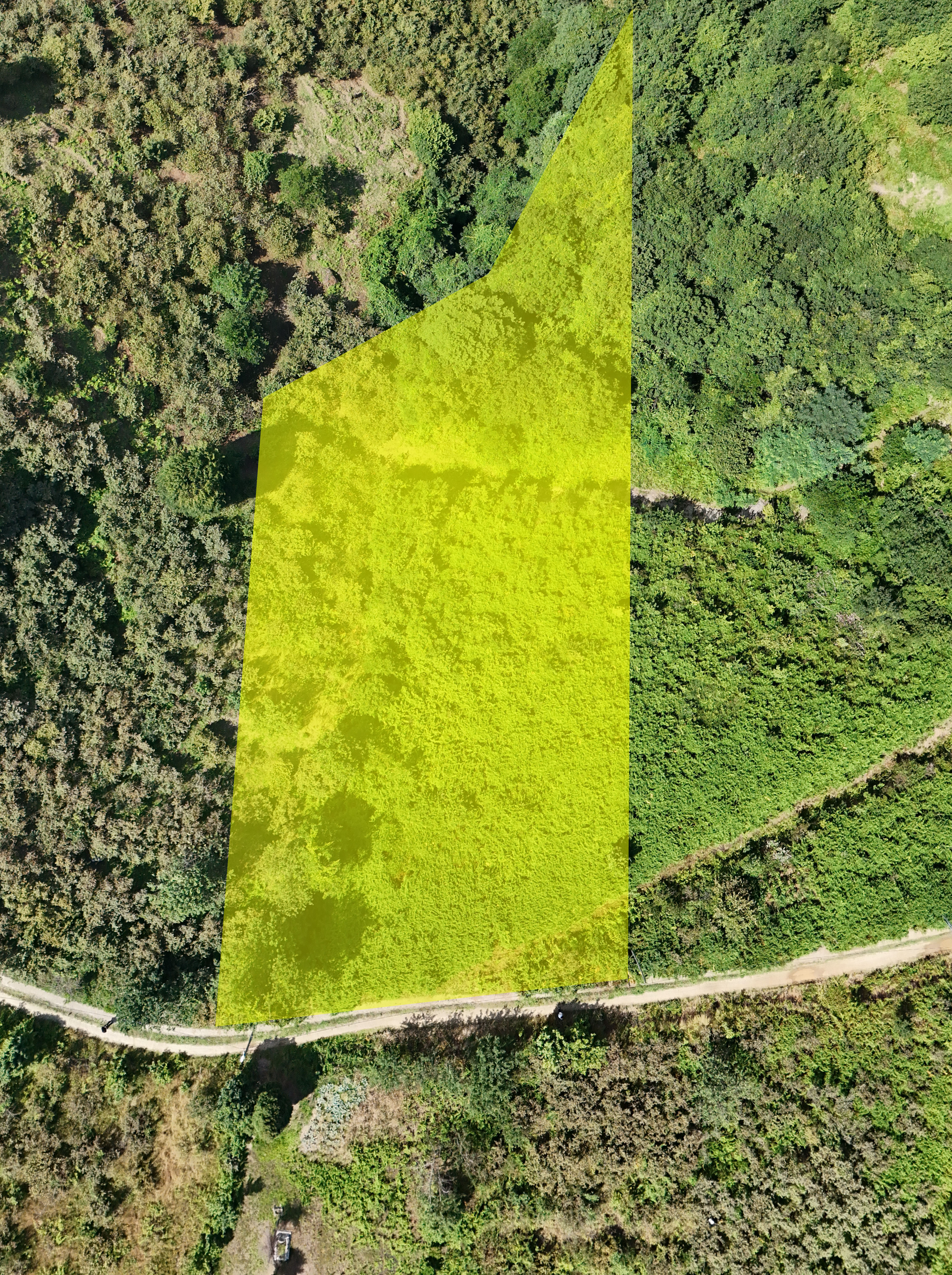 MABEL GAYRİMENKUL KEŞAP GÜNEYKÖY DENİZ MANZARALI VİLLALIK BAHÇE