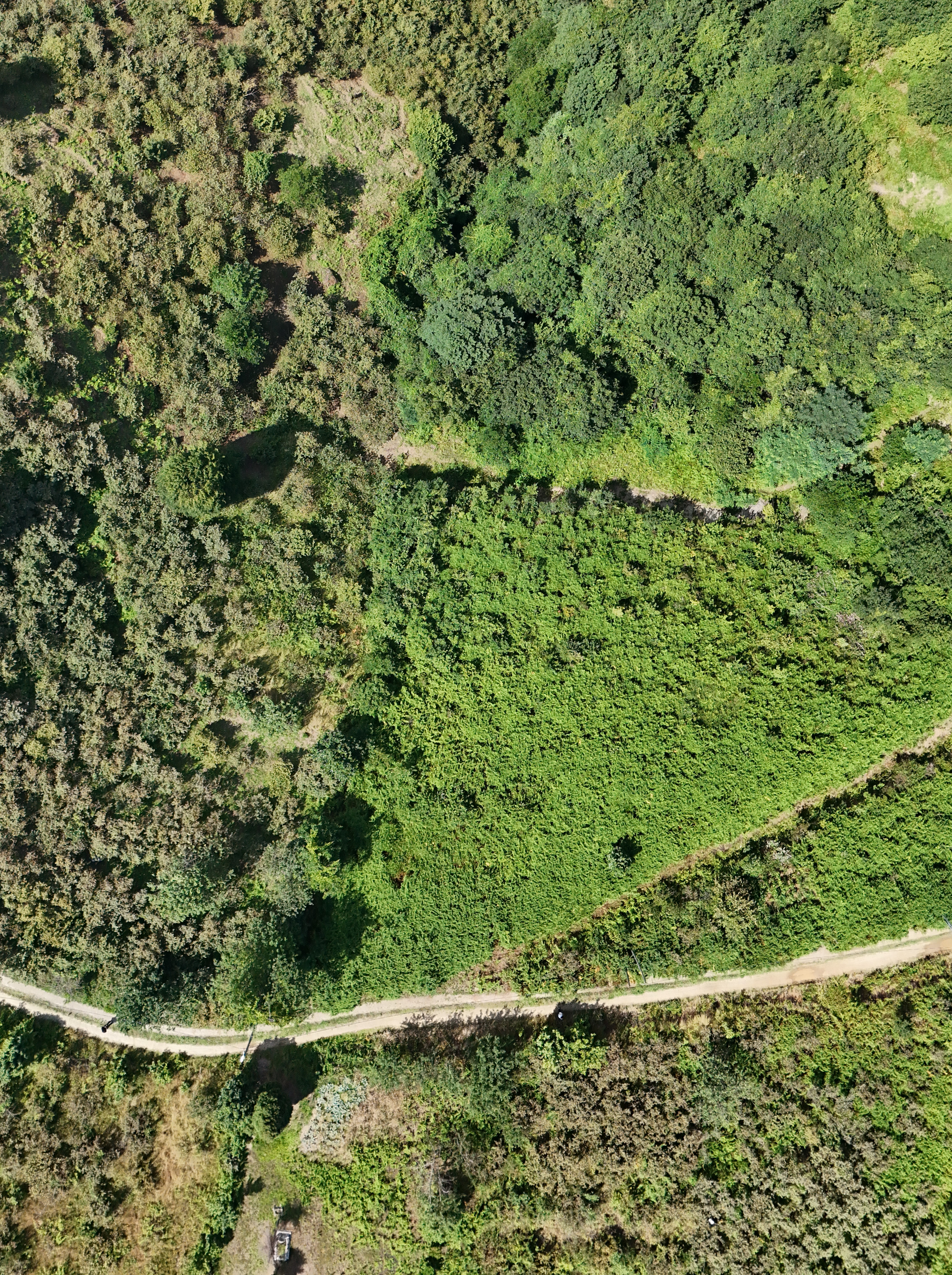 MABEL GAYRİMENKUL KEŞAP GÜNEYKÖY DENİZ MANZARALI VİLLALIK BAHÇE