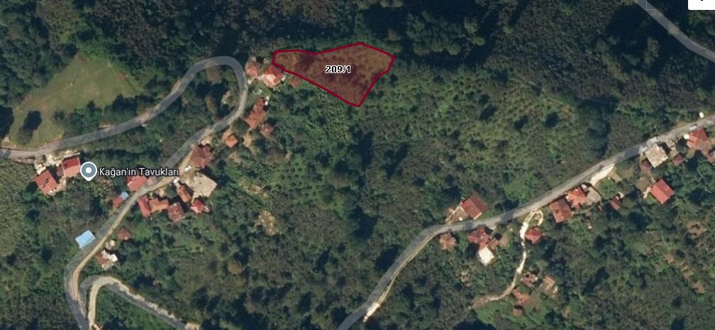 PERŞEMBE BABALI FINDIK BAHÇESİ