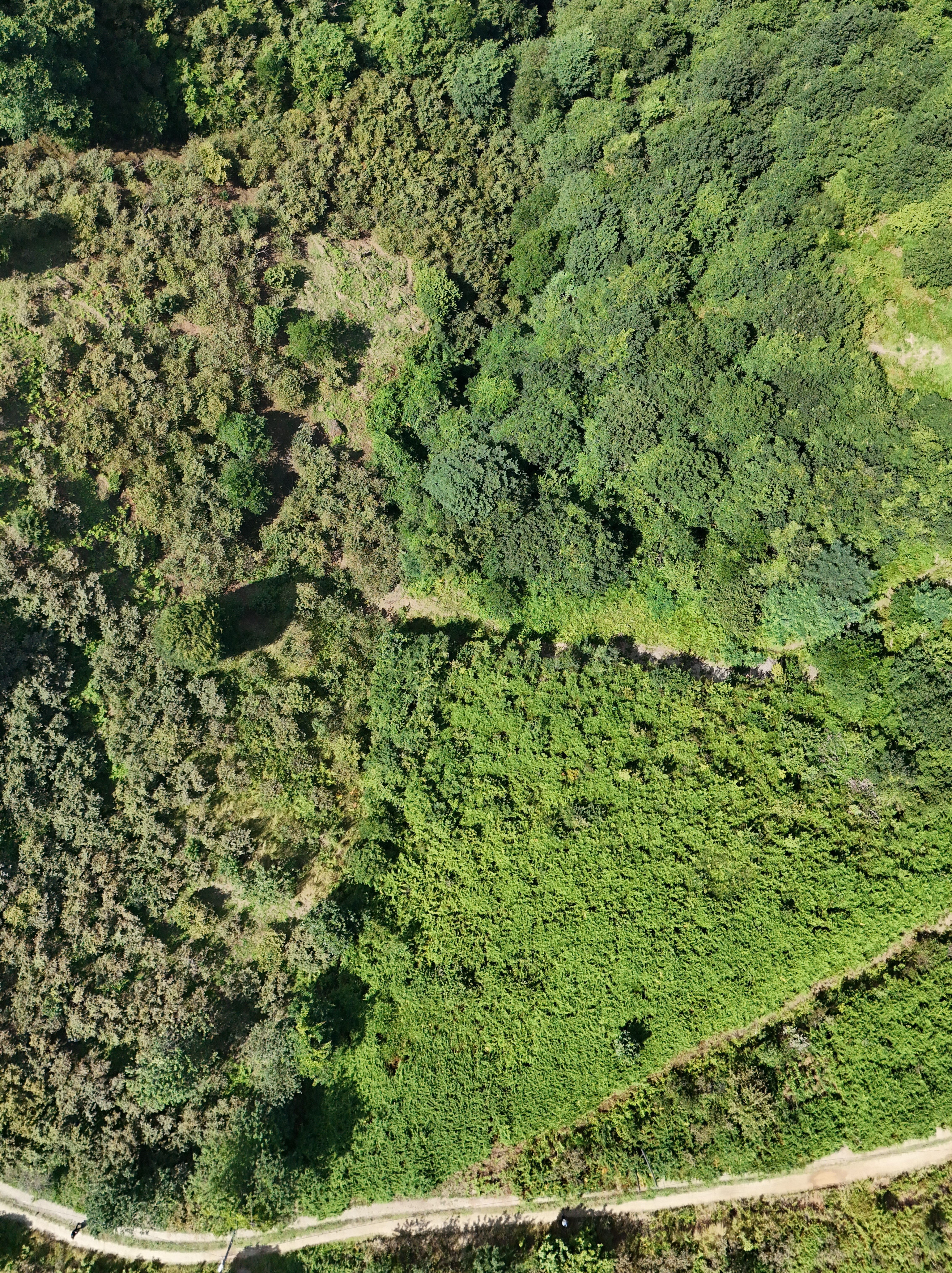 MABEL GAYRİMENKUL KEŞAP GÜNEYKÖY DENİZ MANZARALI VİLLALIK BAHÇE