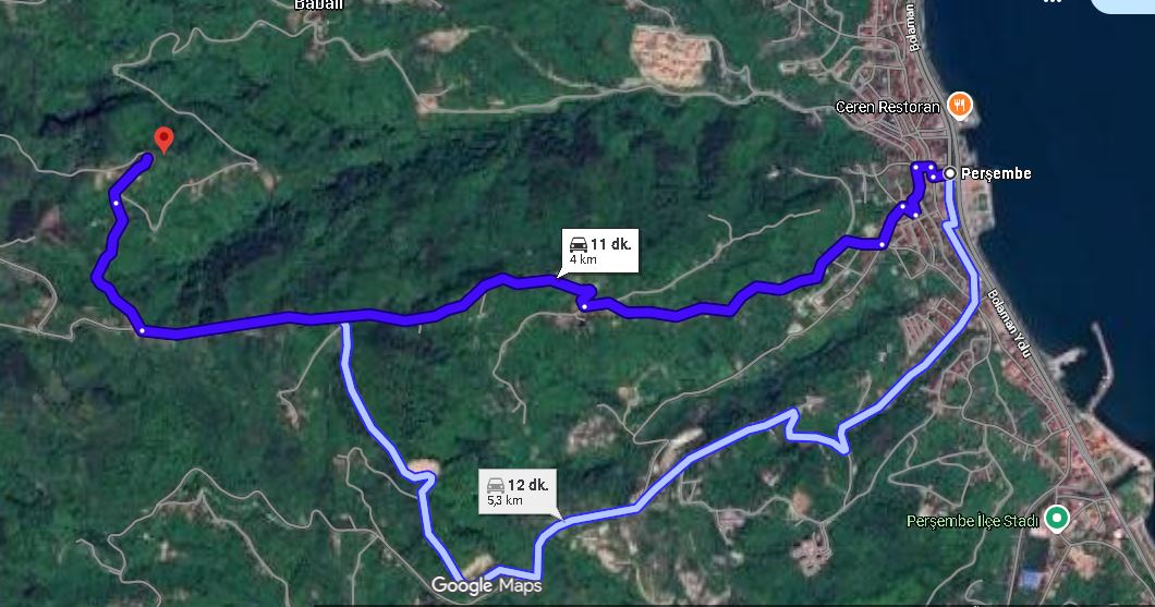 PERŞEMBE BABALI FINDIK BAHÇESİ