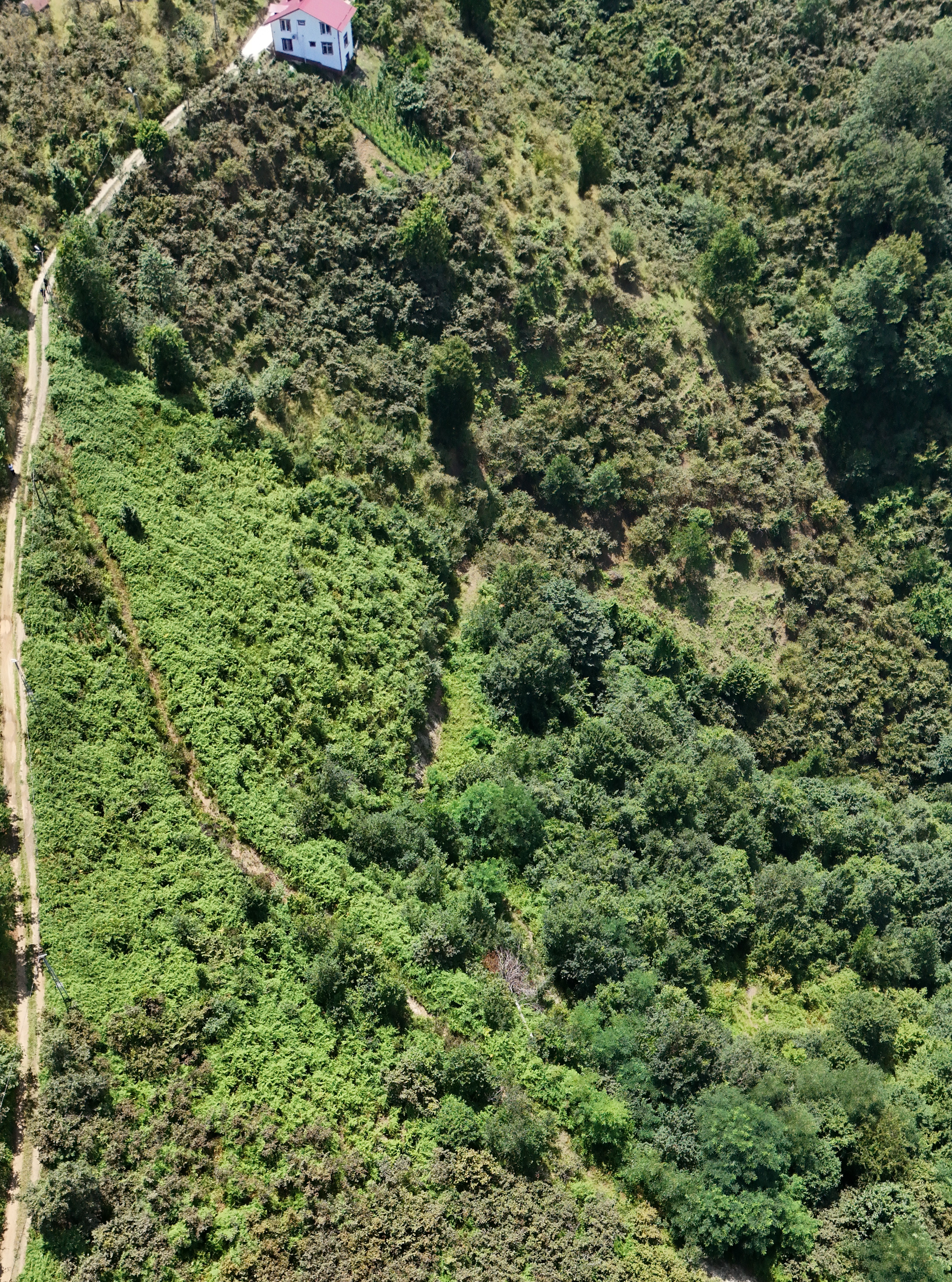 MABEL GAYRİMENKUL KEŞAP GÜNEYKÖY DENİZ MANZARALI VİLLALIK BAHÇE