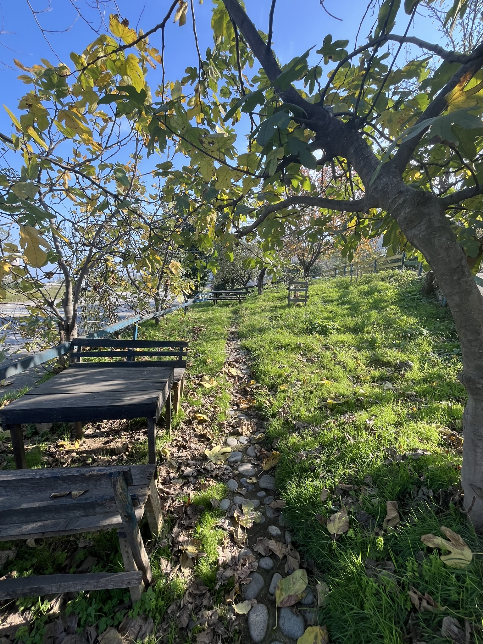 KEŞAP GÜNEYKÖY KİRALIK DÜKKAN