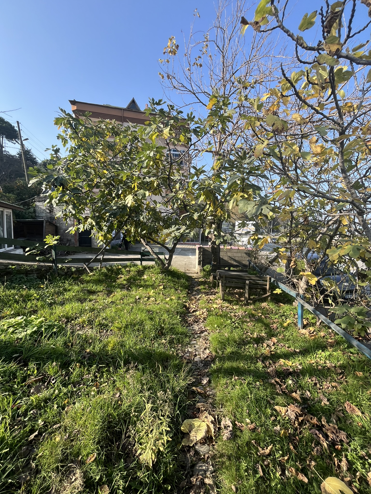 KEŞAP GÜNEYKÖY KİRALIK DÜKKAN