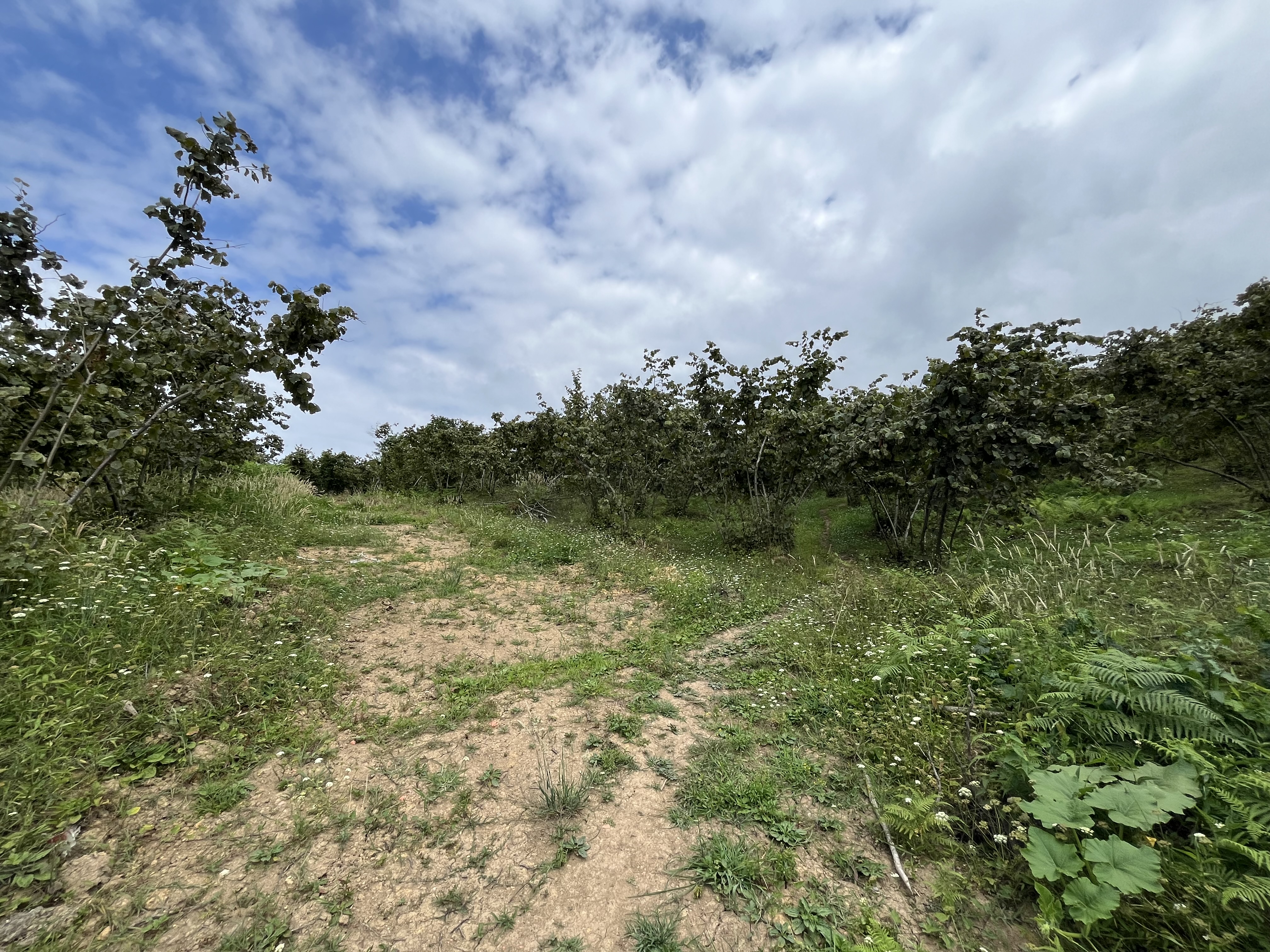 mabel gayrimenkul villalık deniz manzaralı arsa