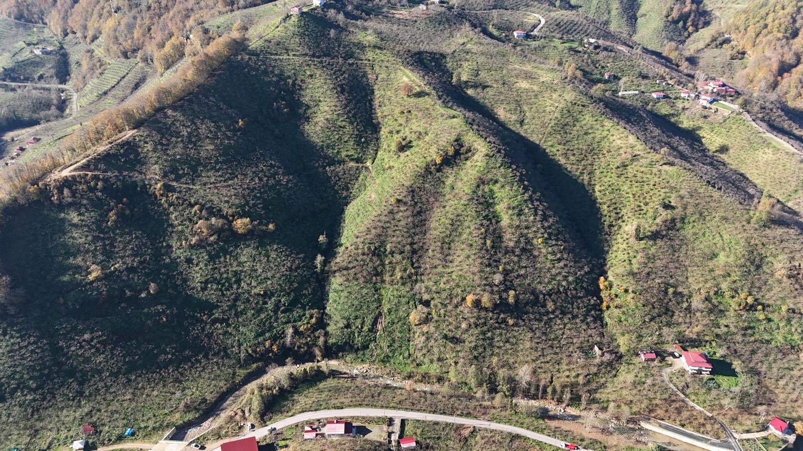 MABEL'DEN-ARİFLİ MAHALLESİ SATILIK FIRSAT FINDIK BAHÇESİ