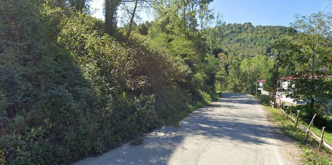 GÖLKÖY FINDIK BAHÇESİ 445 M2