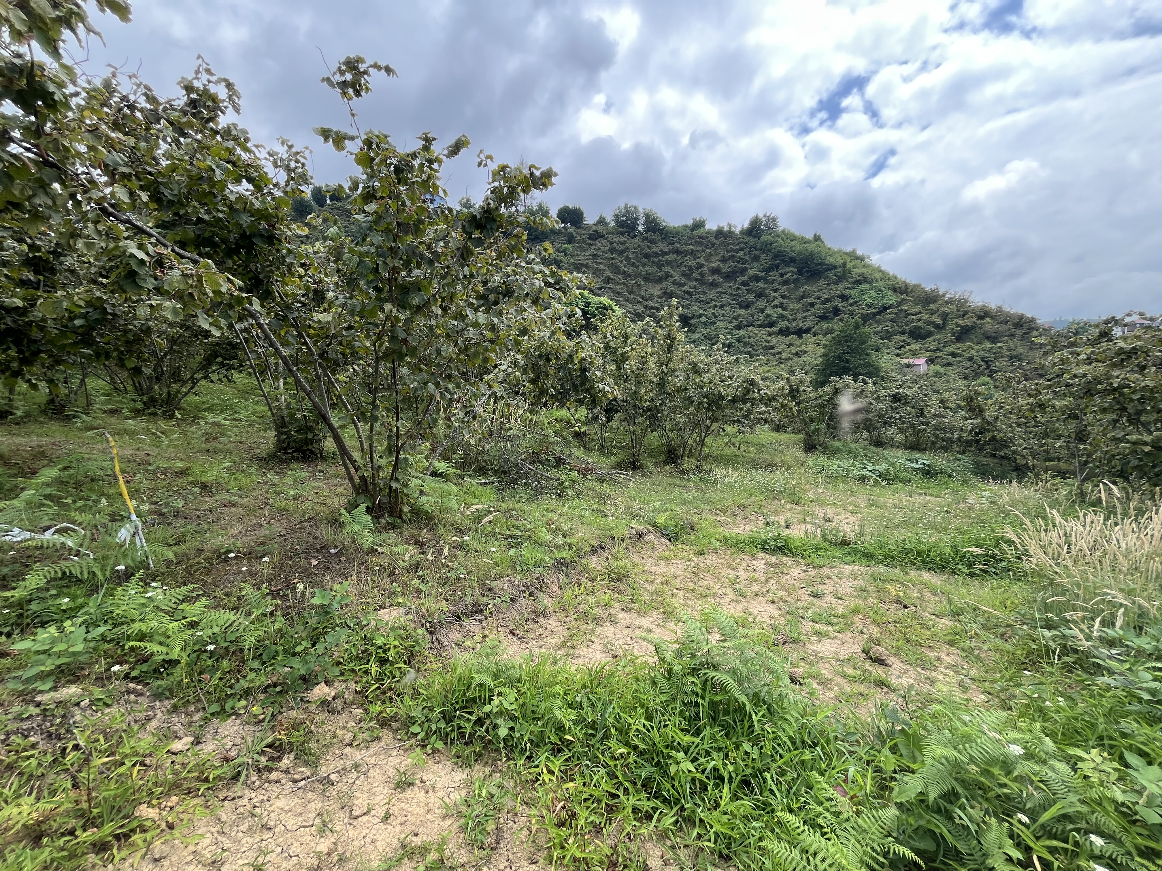 mabel gayrimenkul villalık deniz manzaralı arsa