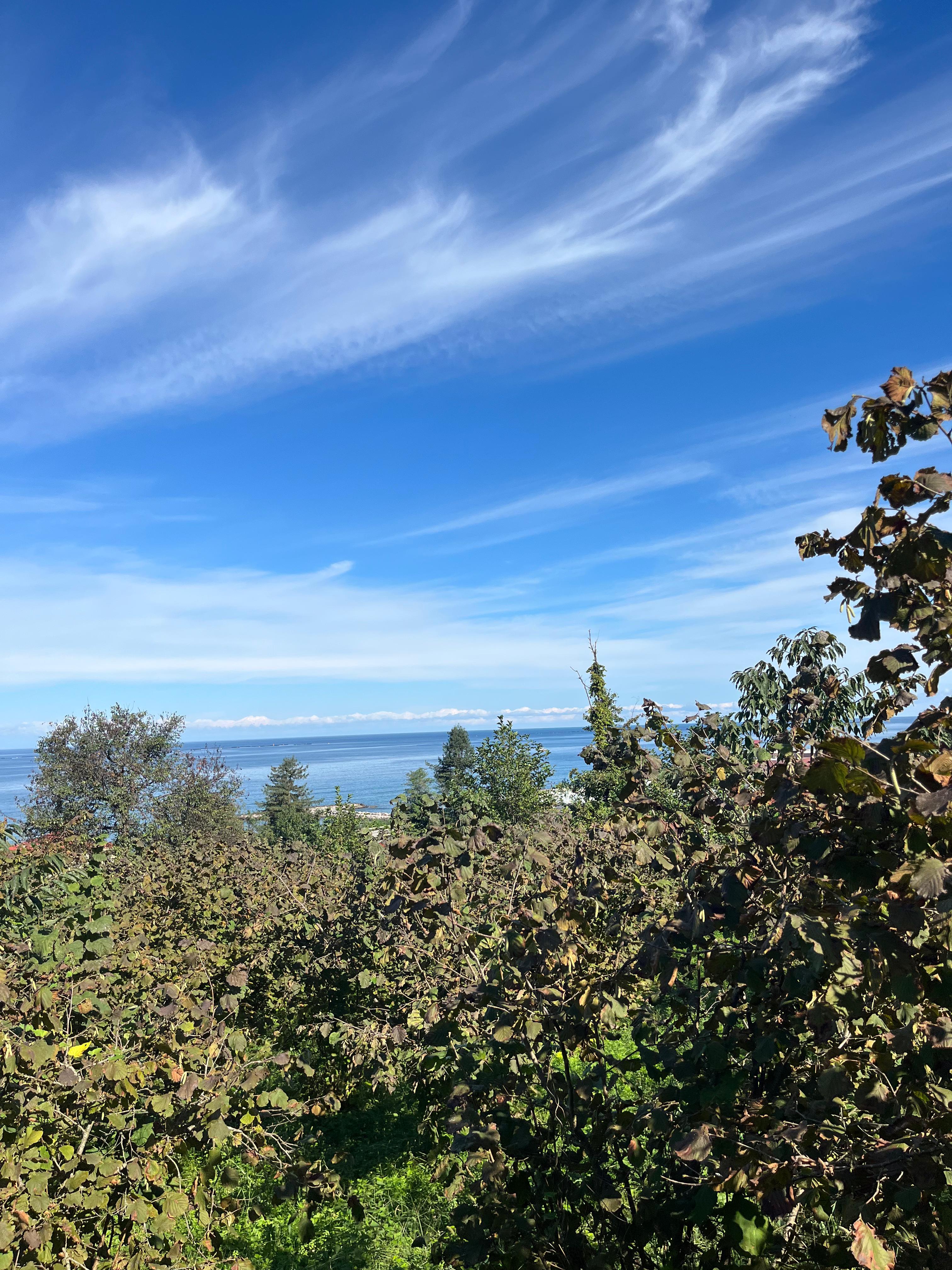 KEŞAP KARAKOÇ SATILIK ARSA