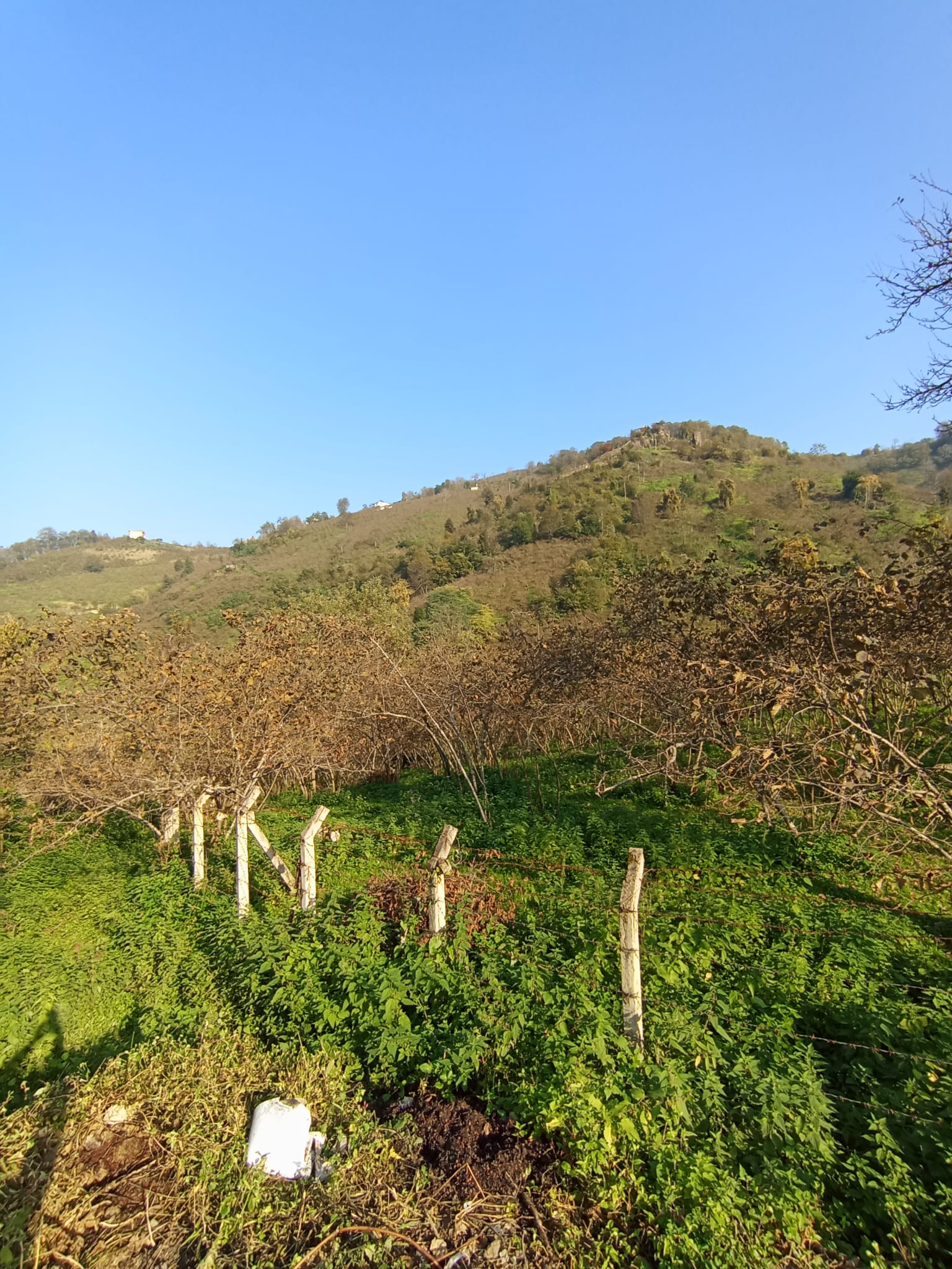 BEYAZIT KÖYÜ SATILIK ARSA