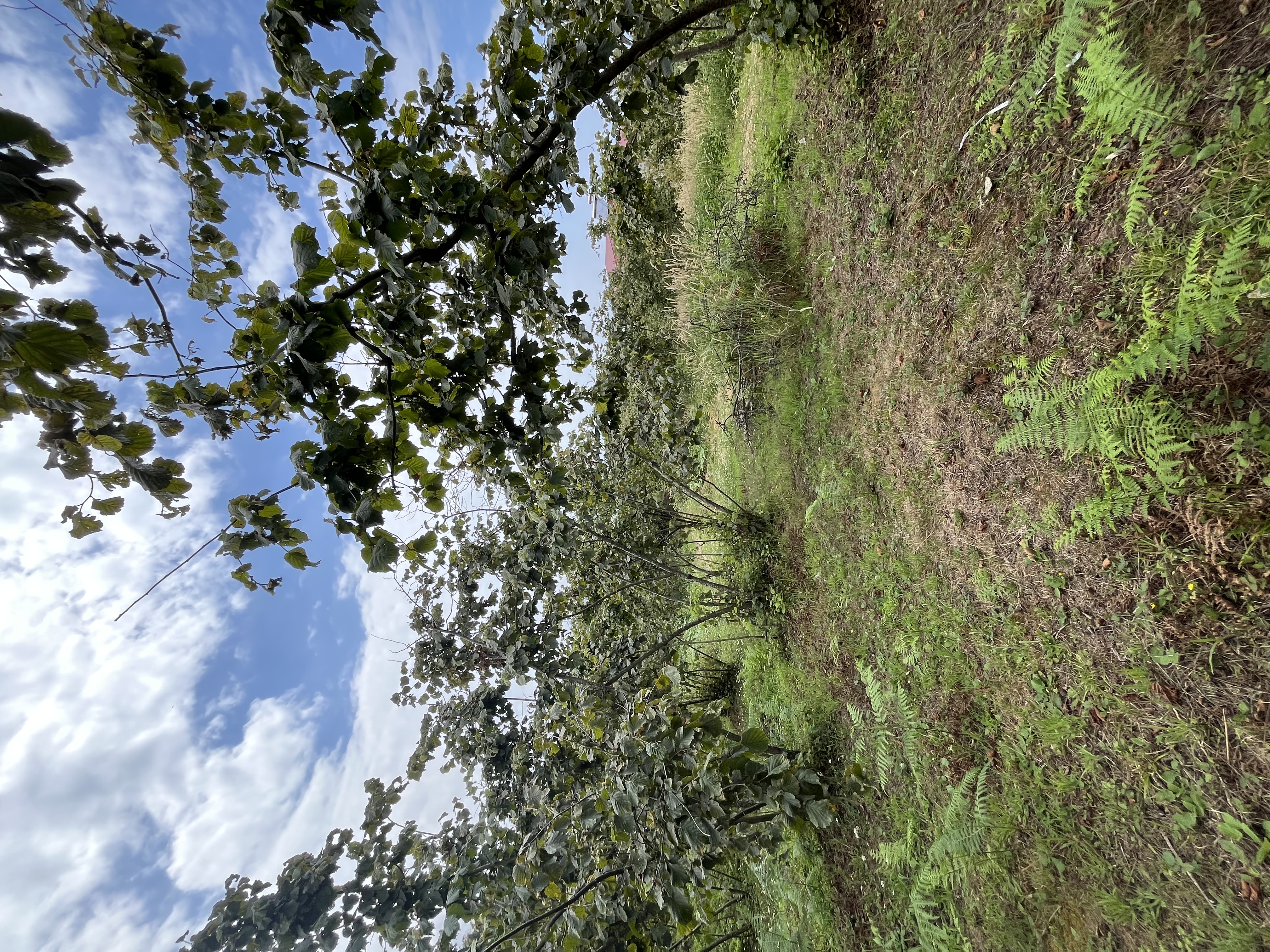 mabel gayrimenkul villalık deniz manzaralı arsa