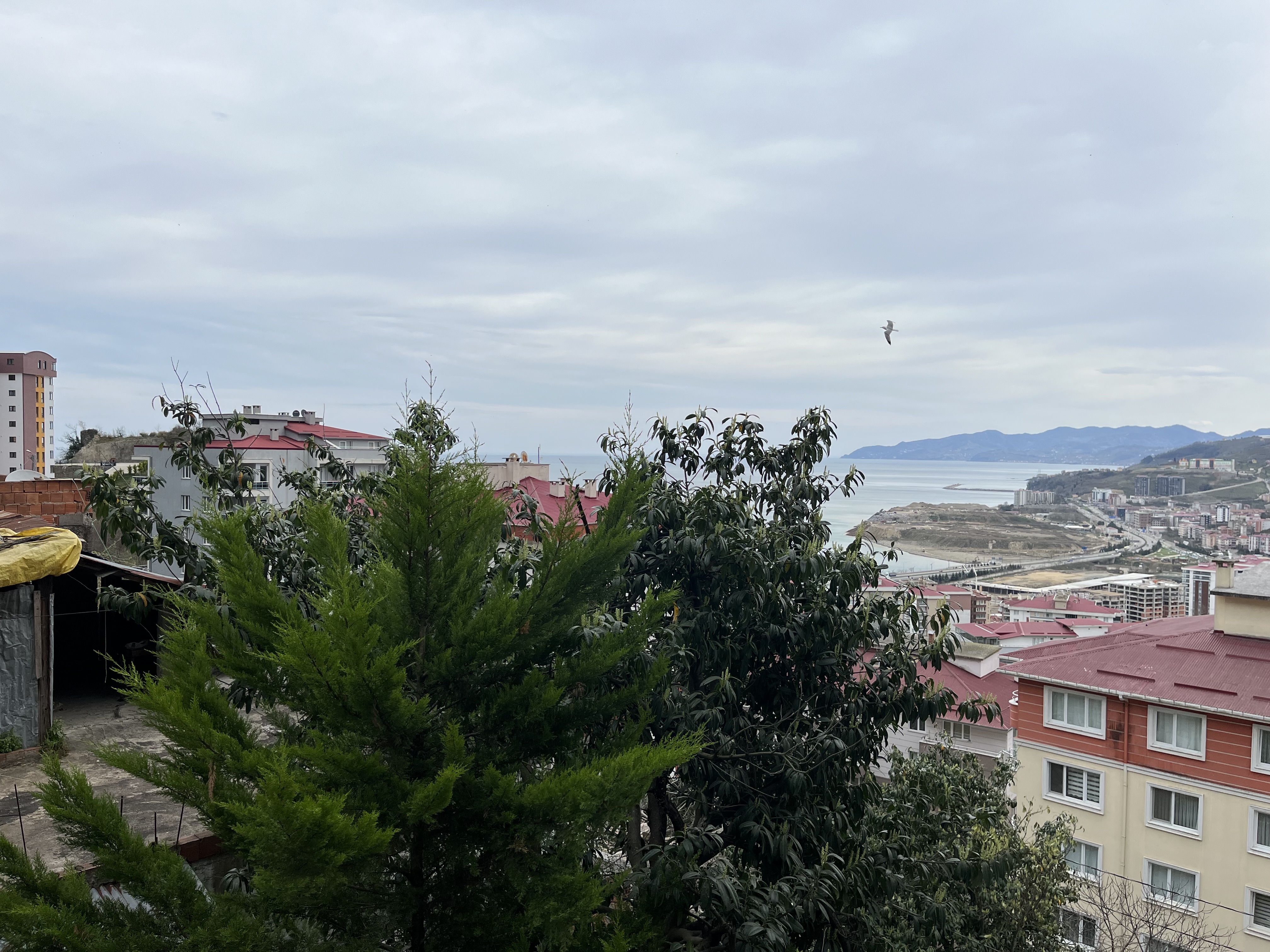 ARDIÇ EVLERİ SATILIK D 13