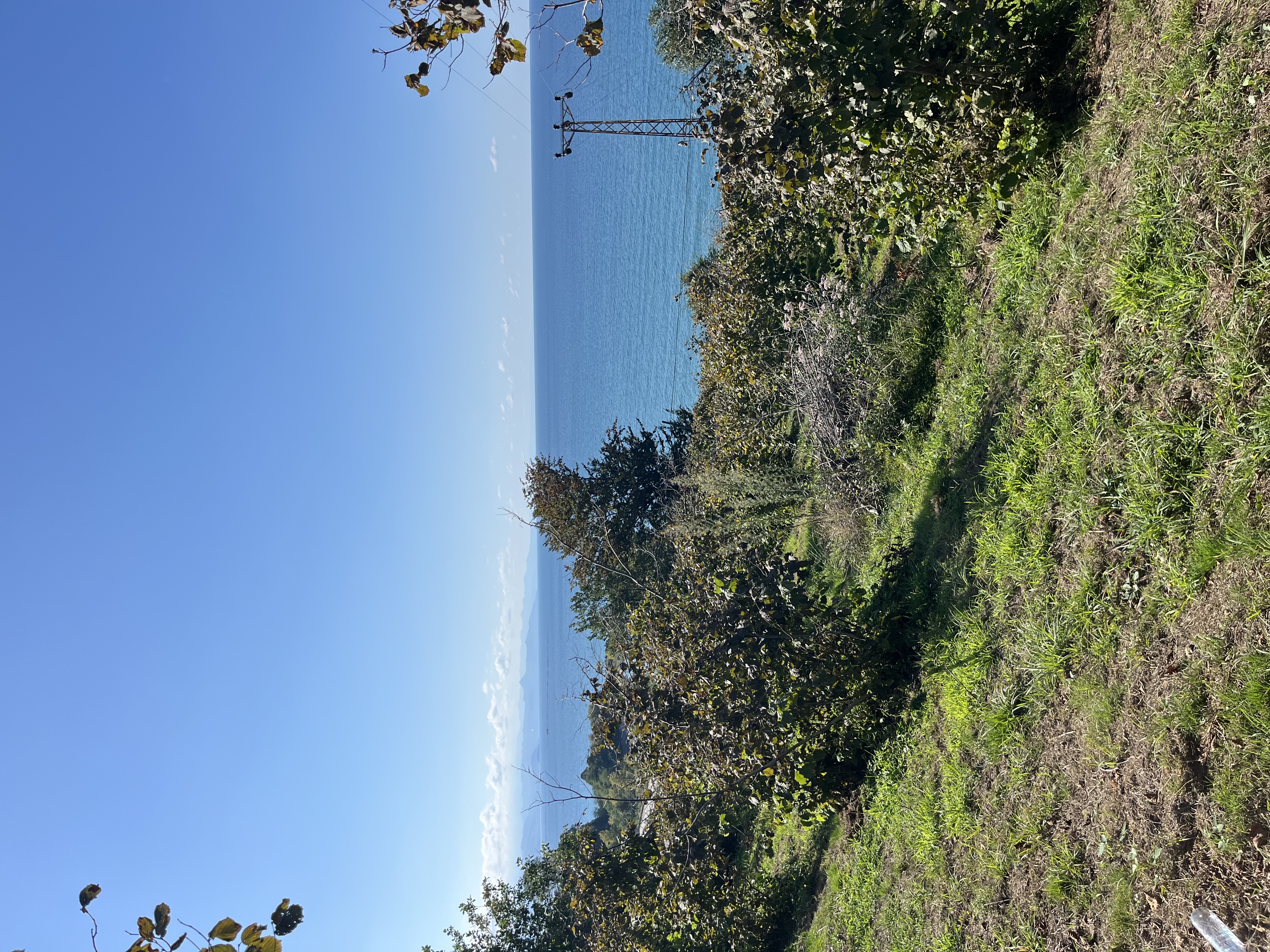 DÜZKÖY 110 ADA 25 PARSEL