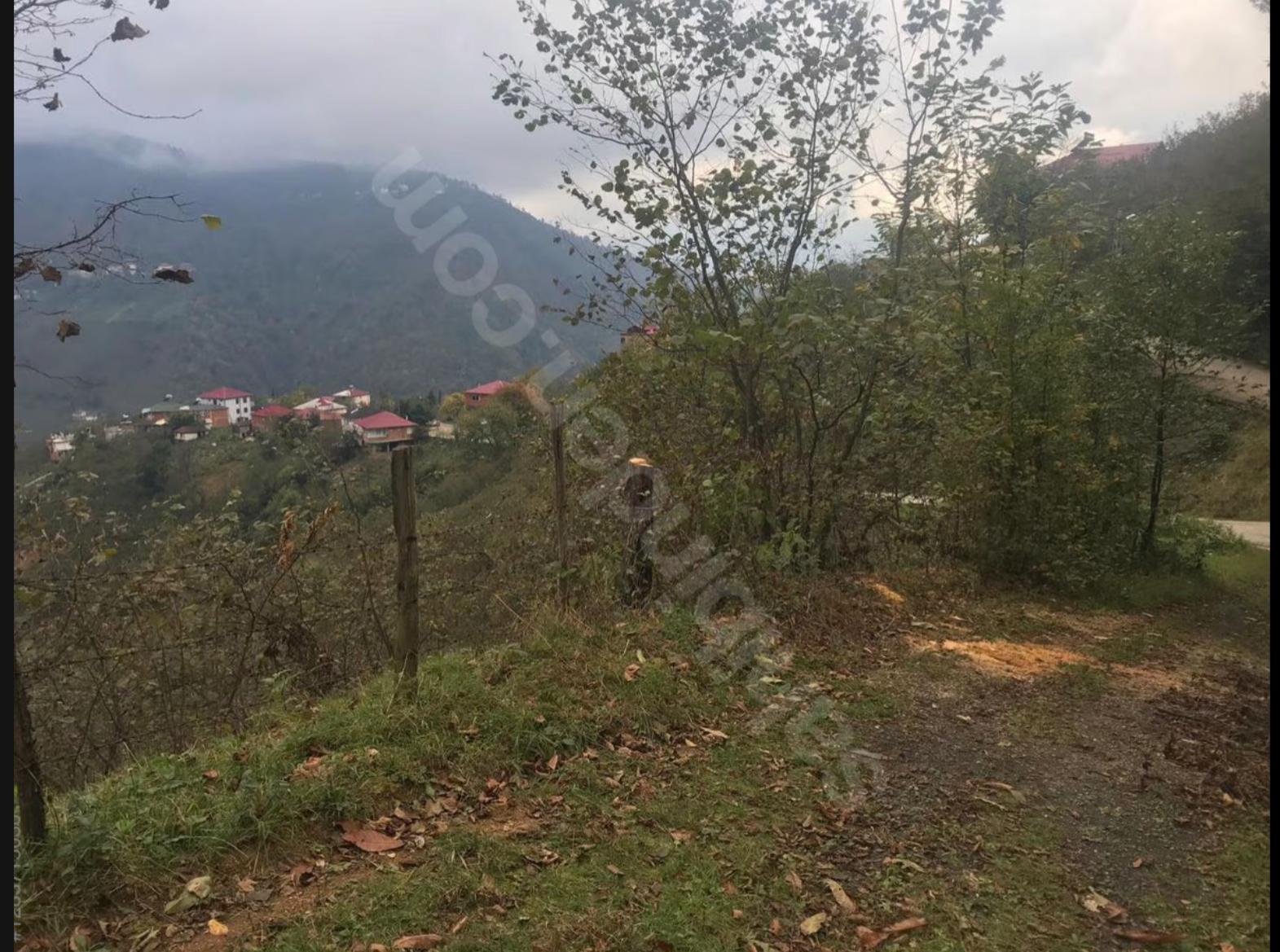 AKÇAABAT DERECİKTE 3160 M2 SATILIK ARSA