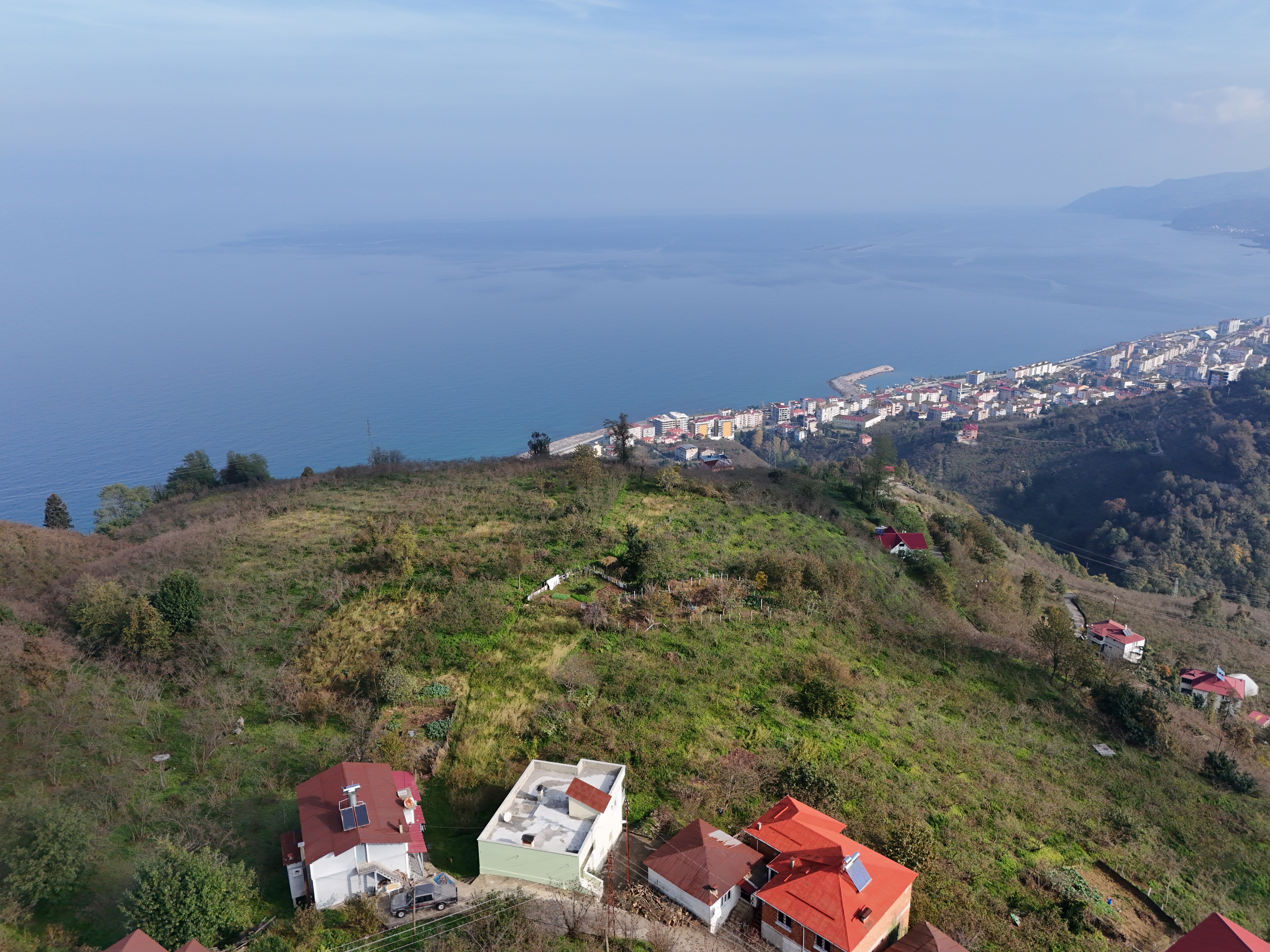 KEŞAP KARABEDİR MAHALLESİ SATILIK BAHÇE