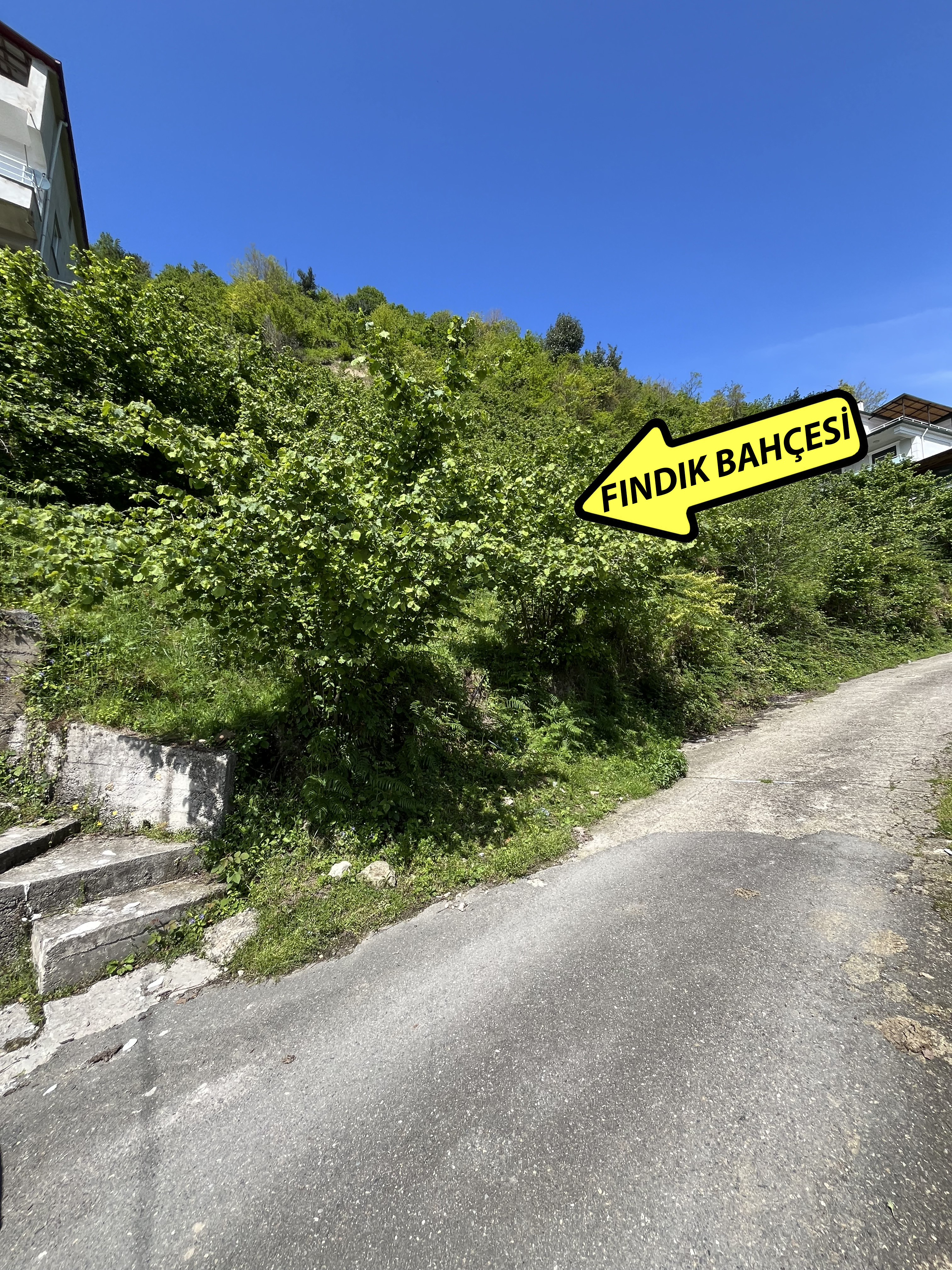 ESPİYE DEĞİRMENAĞZI