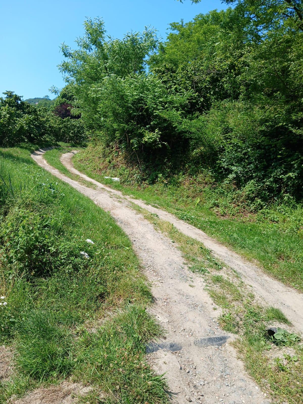 KIŞLA ÖNÜ LİMANI YUKARISINDA BAHÇE