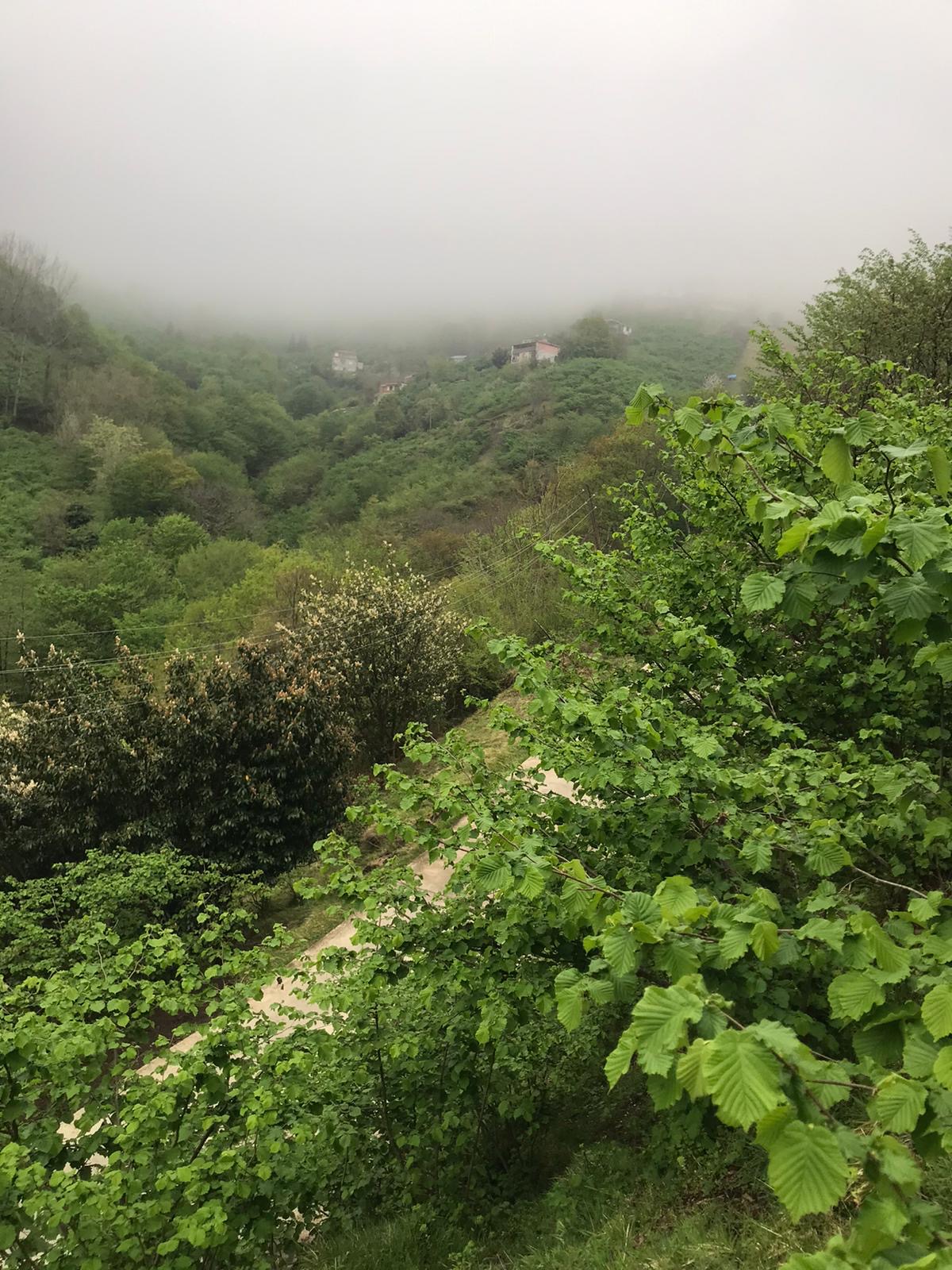 KAMIŞLI DA SATILIK 603 M2 ARSA