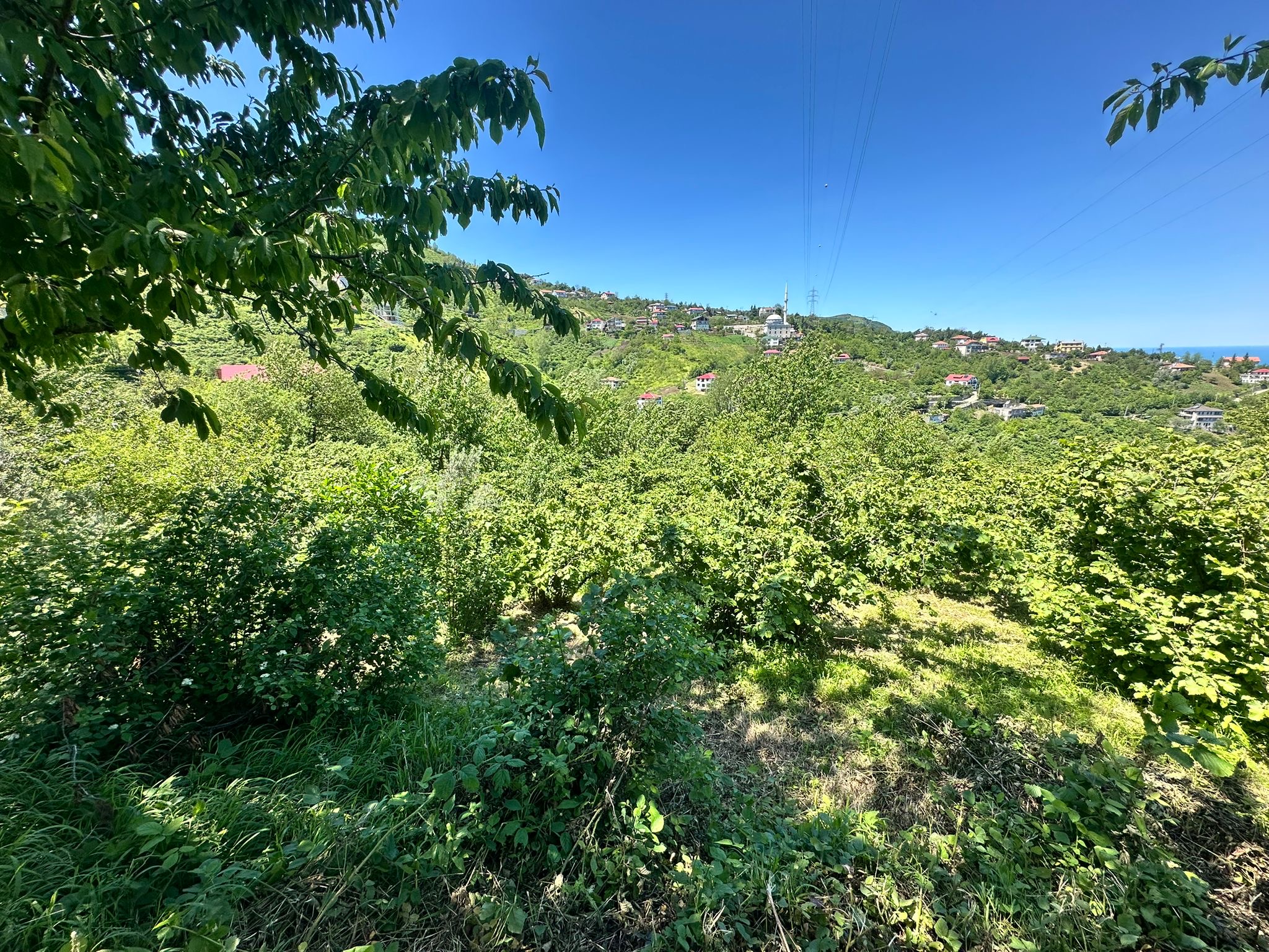 AKÇAABAT MERSİN DE SATILIK1427 m2 ARSA