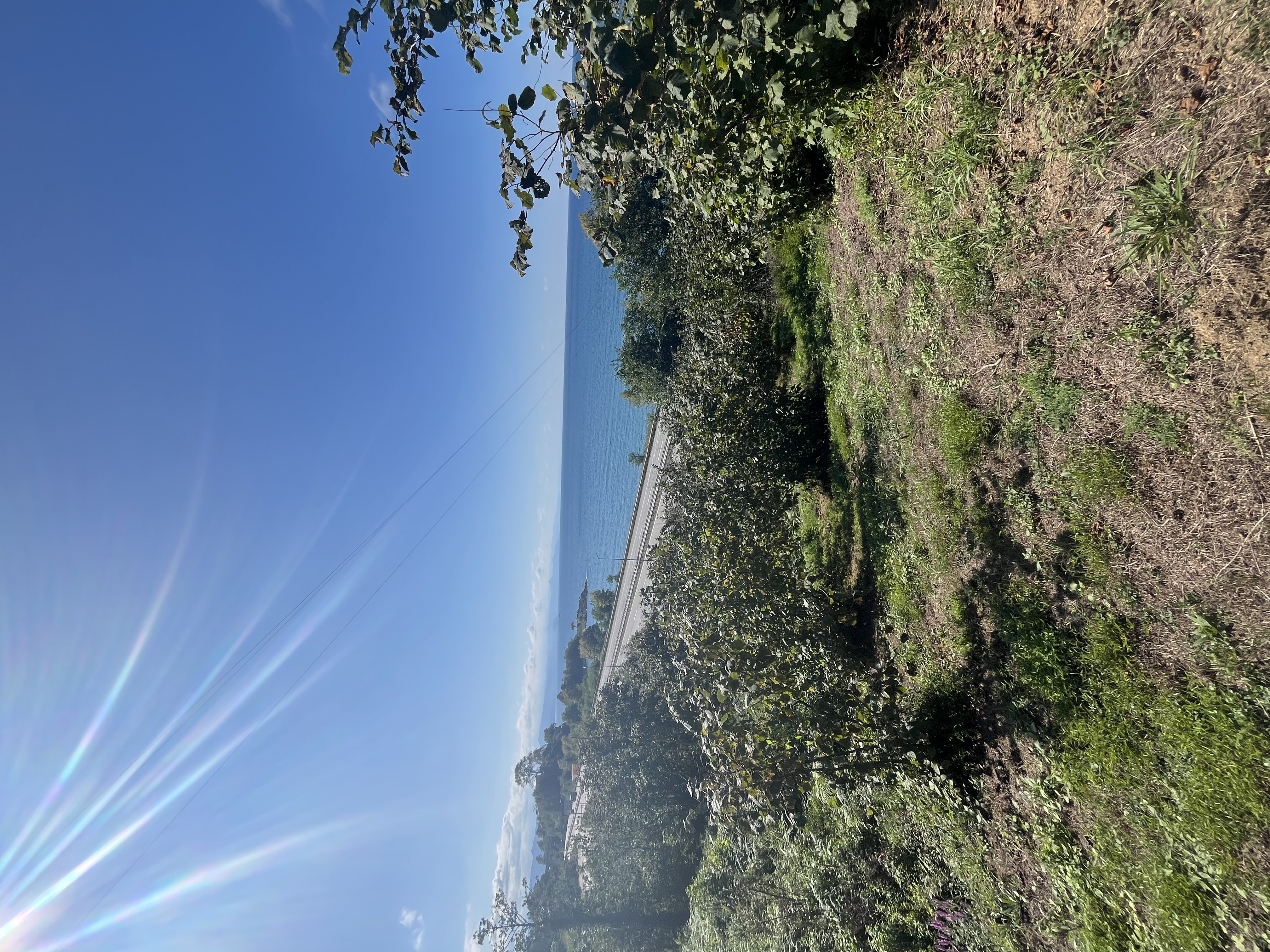 DÜZKÖY 110 ADA 25 PARSEL