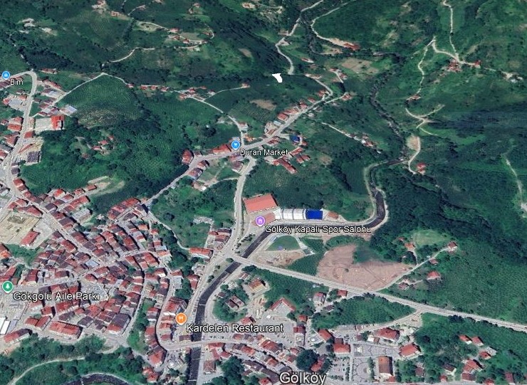 GÖLKÖY FINDIK BAHÇESİ 896 M2