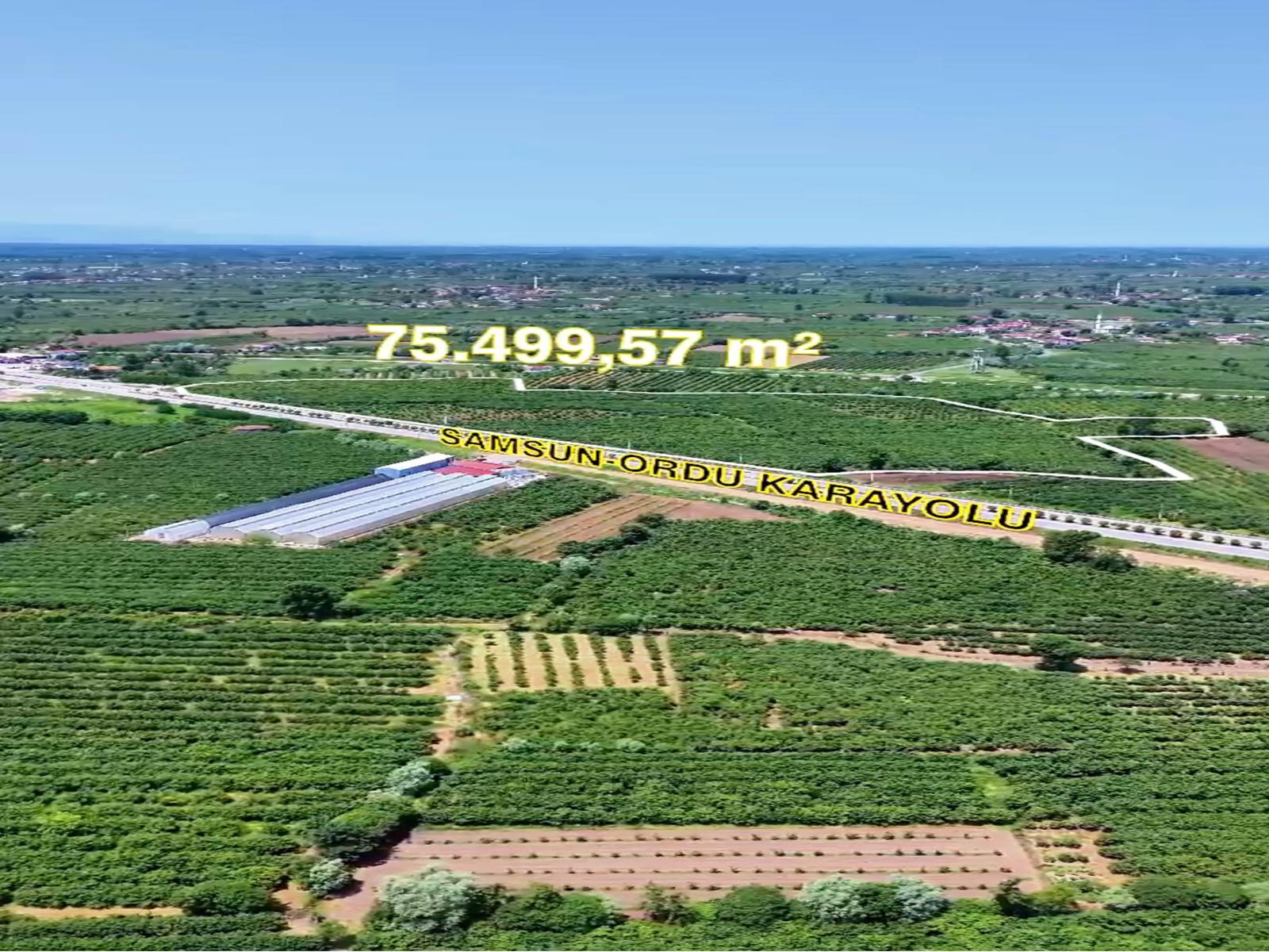 SAMSUN ÇARŞAMBADA ANAYOLA 400M CEPHELİ EMSALSİZ TARLA