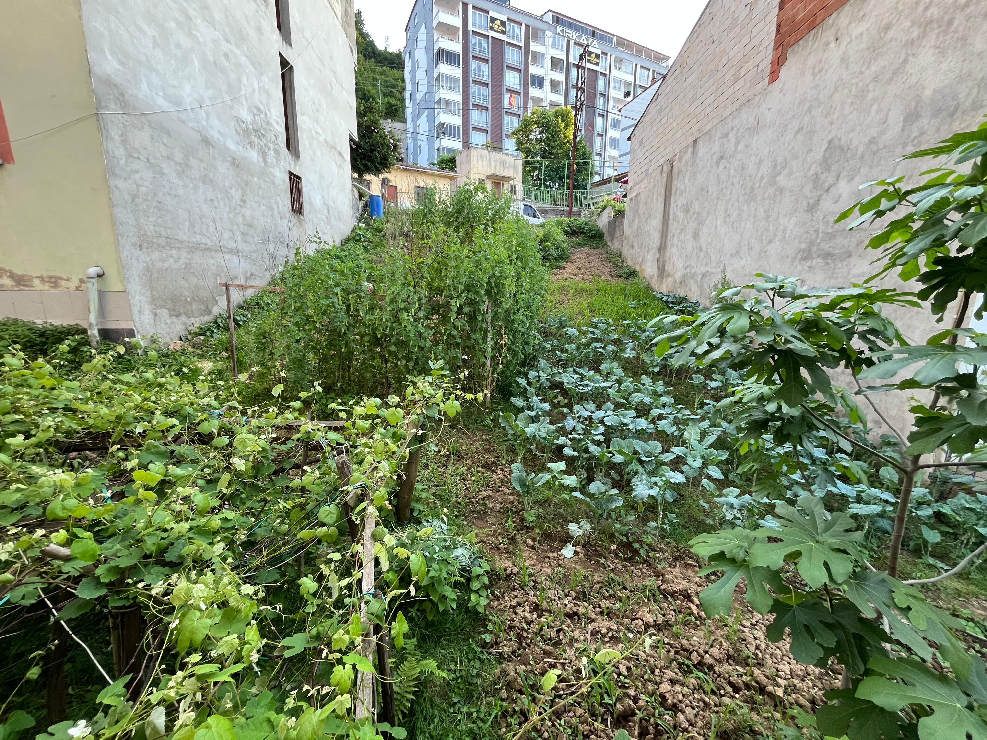 GİRESUN TEYYAREDÜZÜ MAH. YATIRIMCIYA FIRSAT İMARLI PARSEL ARSA