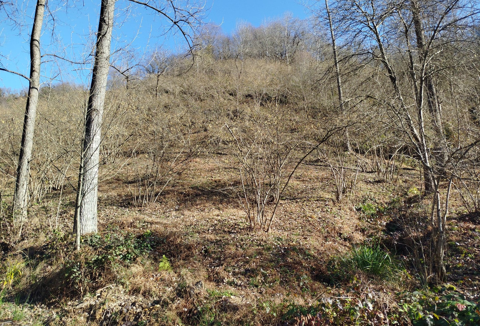 !!! ARSİN DİLEK MH SAHİLE 2.5 KM FIRSATT SATILIK ARSA !!!