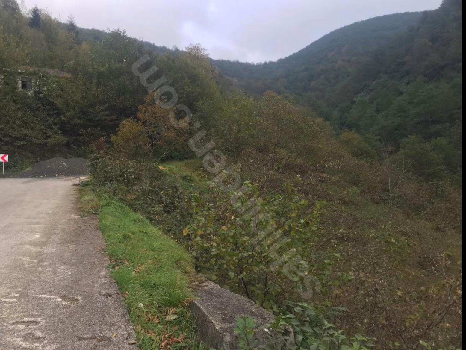 AKÇAABAT DERECİKTE 3160 M2 SATILIK ARSA