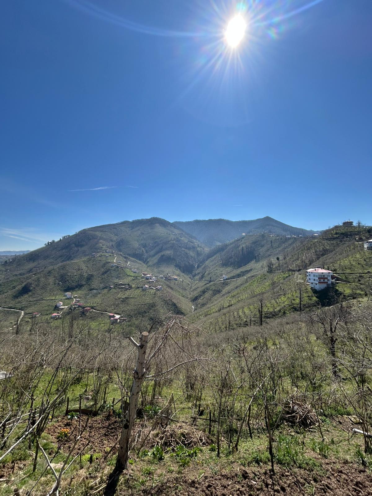 ÇANDIR KÖYÜ SATILIK FINDIK BAHÇESİ