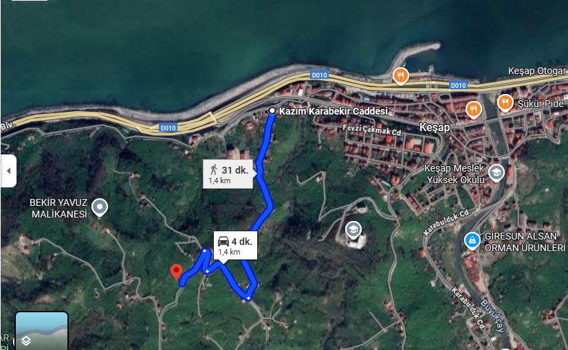 KEŞAP KARABEDİR MAHALLESİ SATILIK BAHÇE