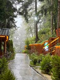 MABELDEN TRABZON AKÇABATTA SATILIK BUNGALOV İŞLETMESİ