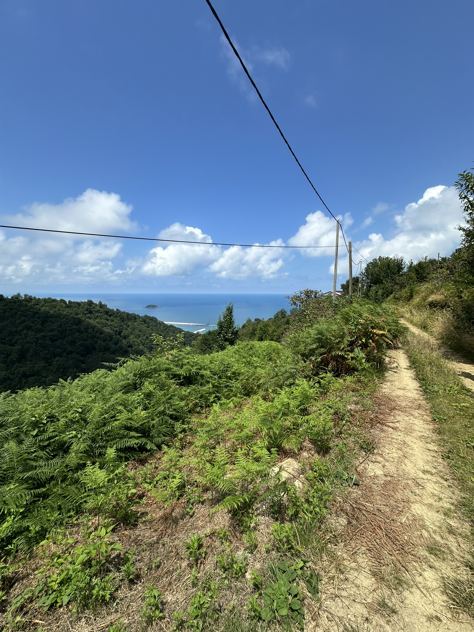 MABEL GAYRİMENKUL KEŞAP GÜNEYKÖY DENİZ MANZARALI VİLLALIK BAHÇE