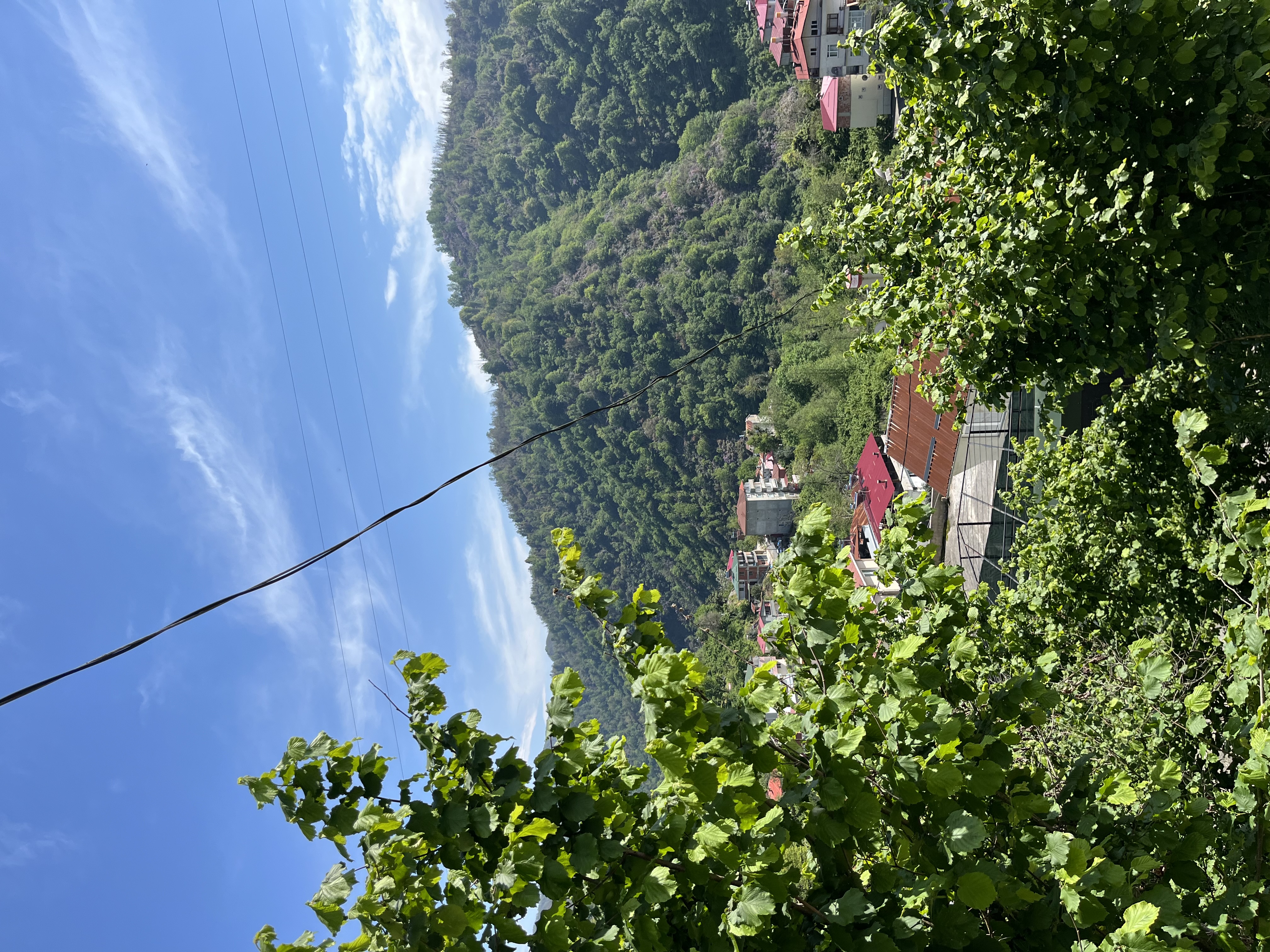 ESPİYE DEĞİRMENAĞZI