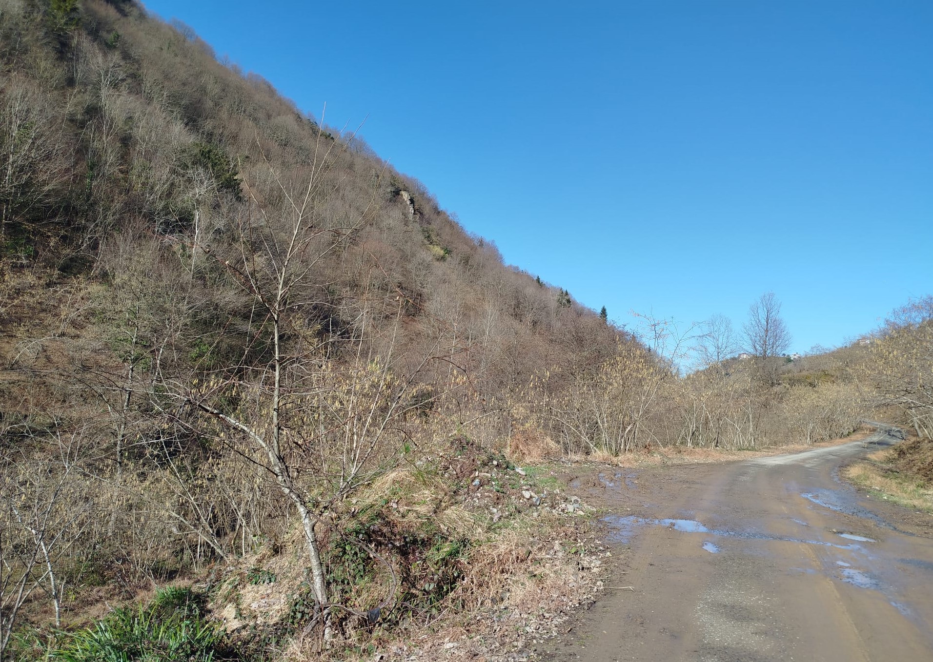 !!! ARSİN DİLEK MH SAHİLE 2.5 KM FIRSATT SATILIK ARSA !!!