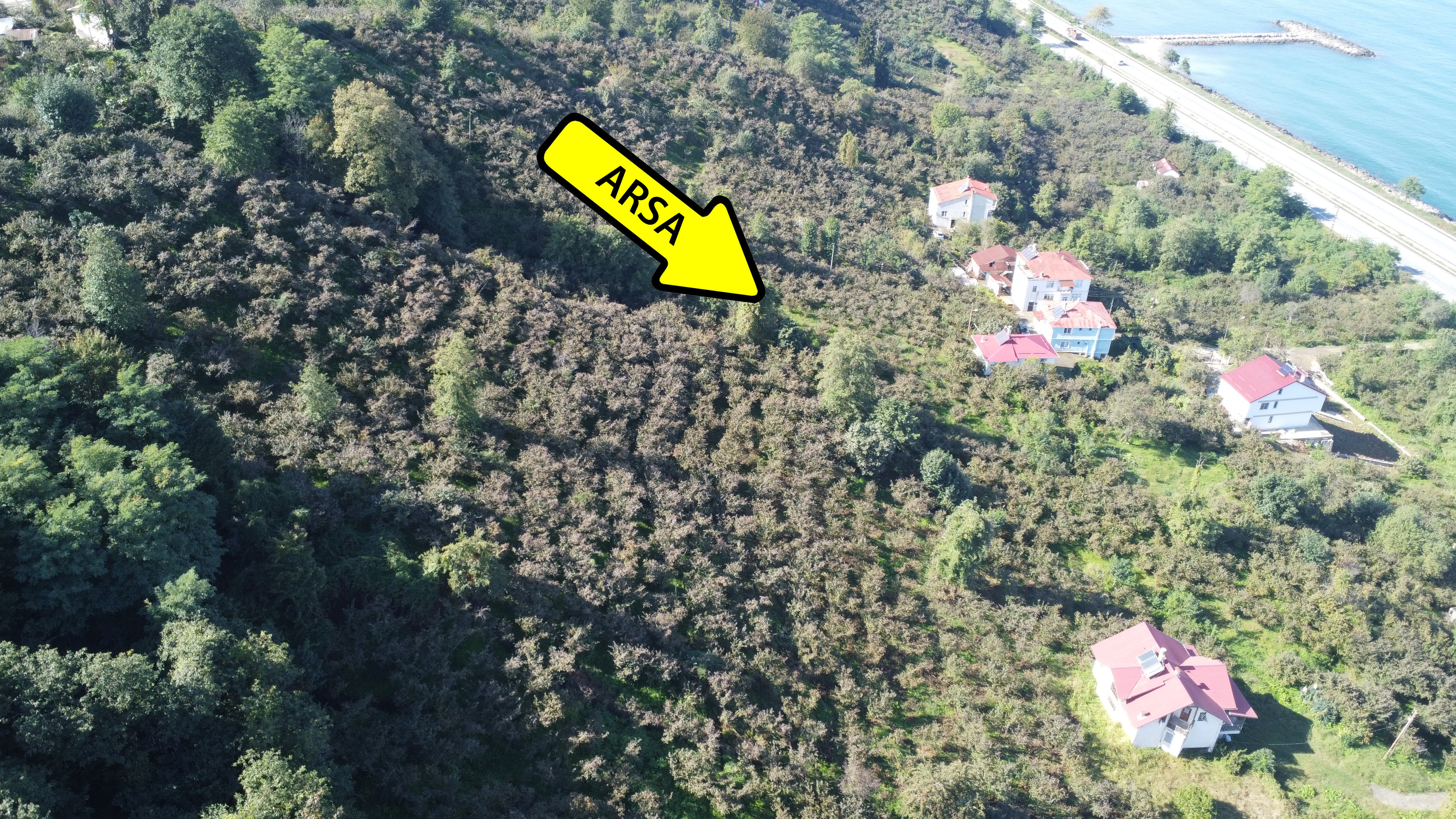 KEŞAP KARAKOÇ SATILIK ARSA