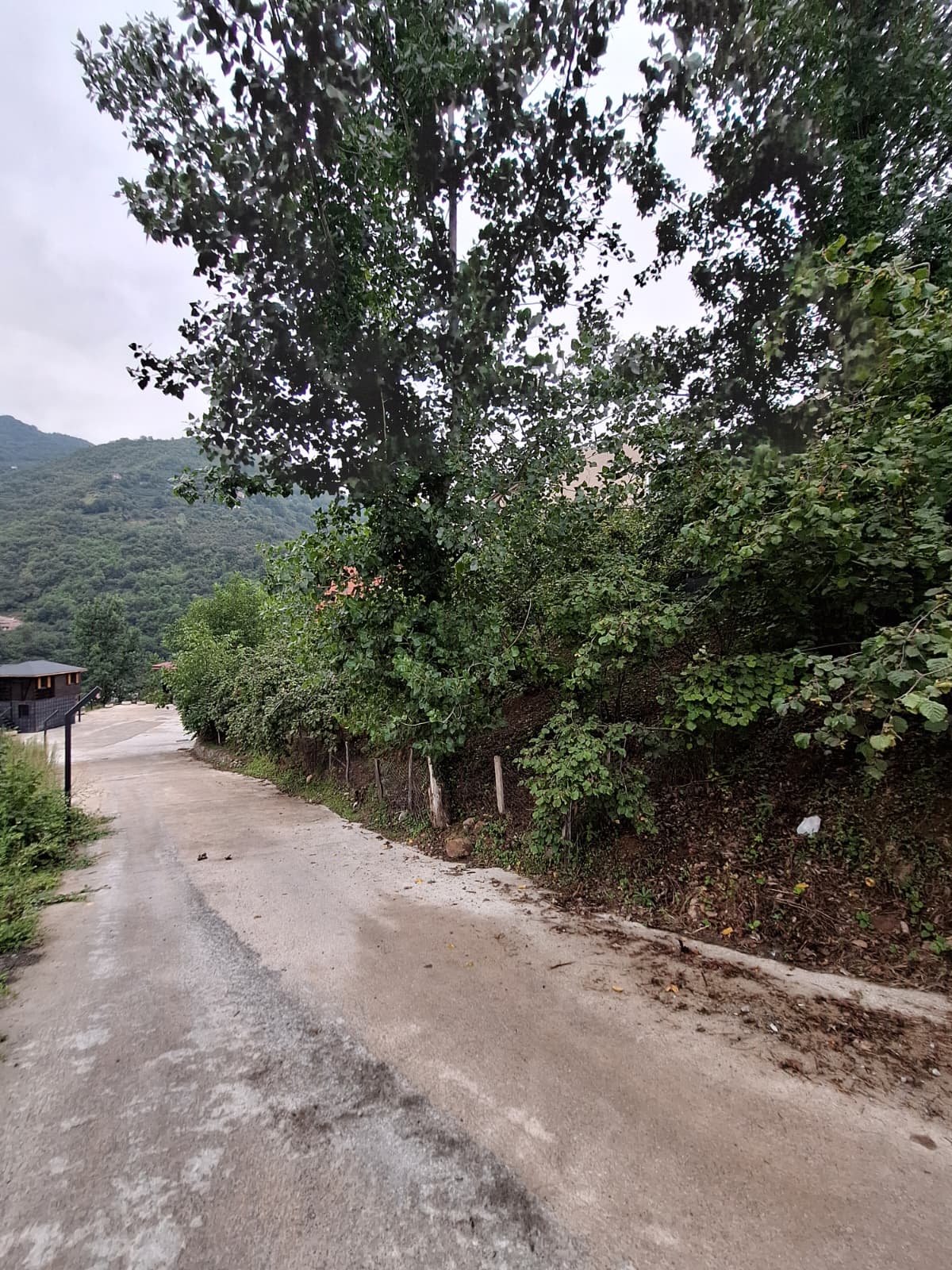 DERELİ İLÇESİ SATILIK ARSA 2