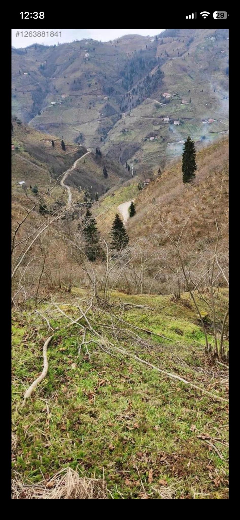 YOMRA KÖMÜRCÜ KÖYÜ SATILIK 2316 M2 ARSA