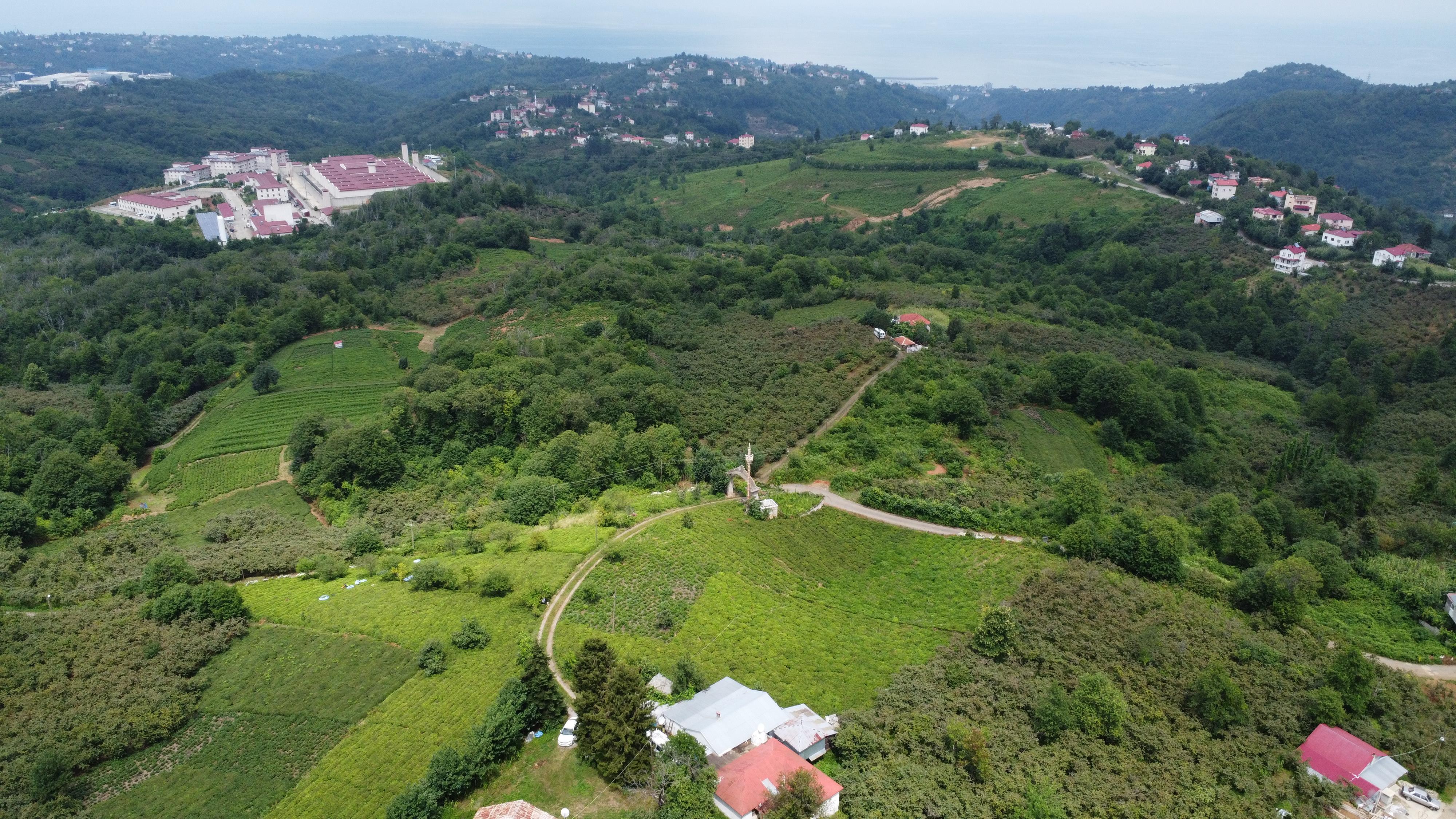 MABELDEN TRABZON BEŞİKDÜZÜNDE SATILIK FIRSAT ARSA