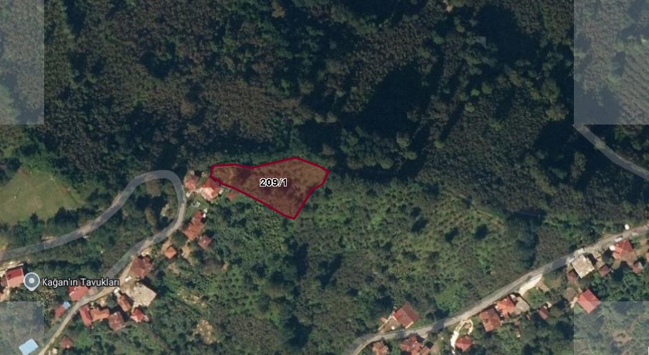 PERŞEMBE BABALI FINDIK BAHÇESİ