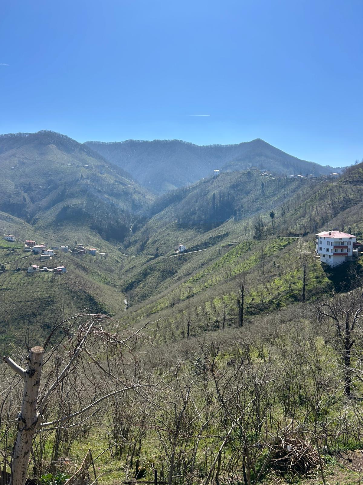 ÇANDIR KÖYÜ SATILIK FINDIK BAHÇESİ
