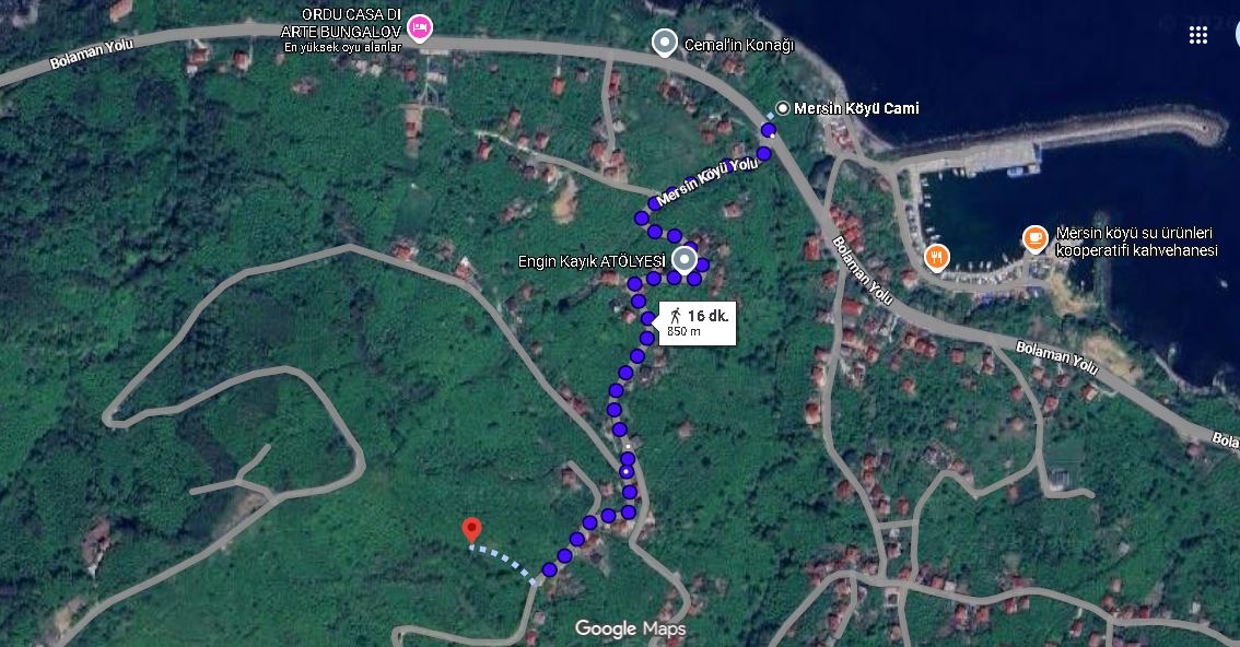 PERŞEMBE MERSİN MAH. FINDIK BAHÇESİ