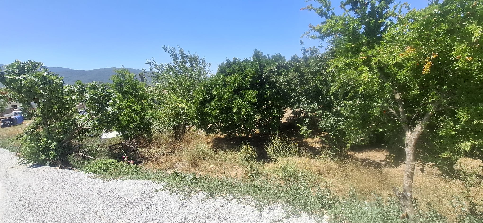 MABELDEN MARMARİS ÇETİBELİNDE SATILIK ARSA