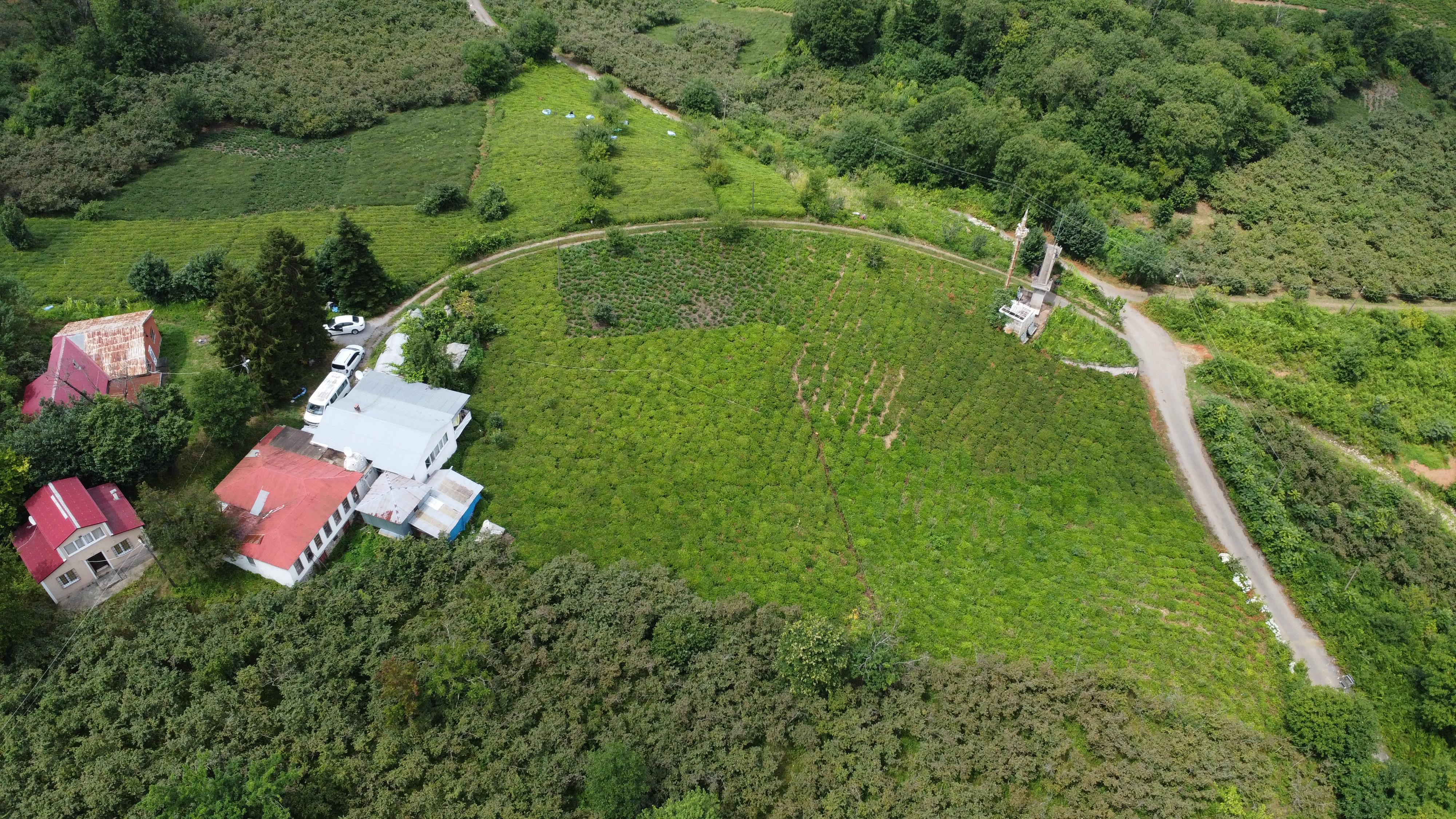 MABELDEN TRABZON BEŞİKDÜZÜNDE SATILIK FIRSAT ARSA