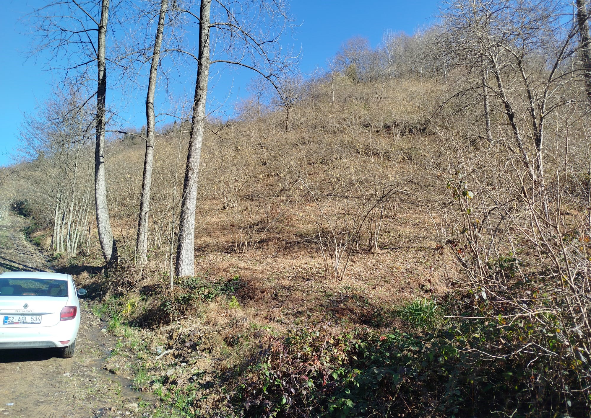 !!! ARSİN DİLEK MH SAHİLE 2.5 KM FIRSATT SATILIK ARSA !!!