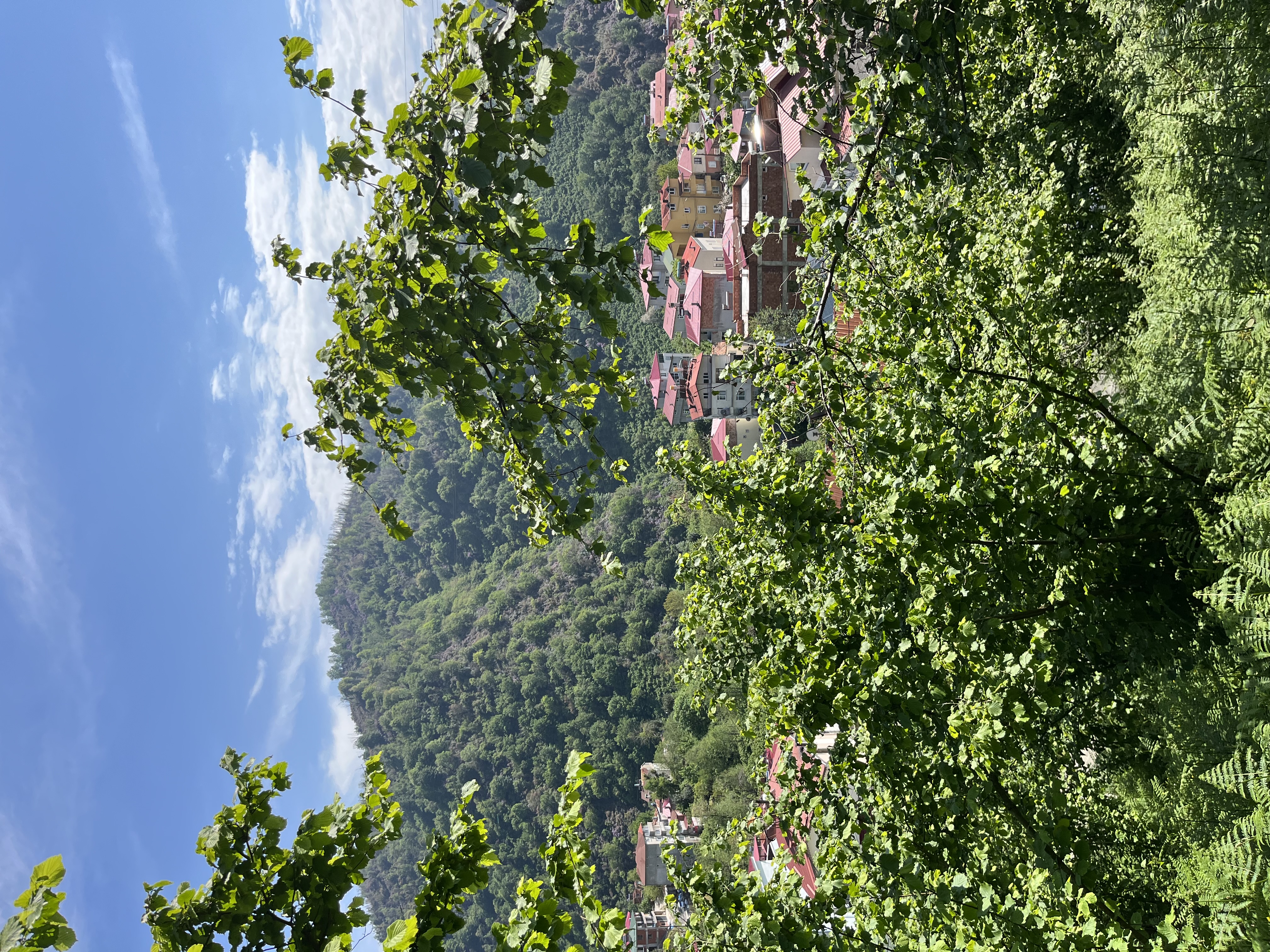 ESPİYE DEĞİRMENAĞZI